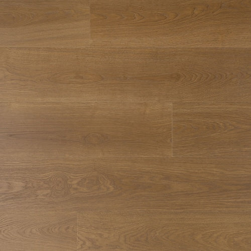 Douwes Dekker - Trots Solide plank Salie