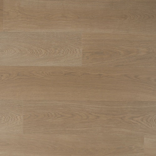 Douwes Dekker - Trots Solide plank Kervel