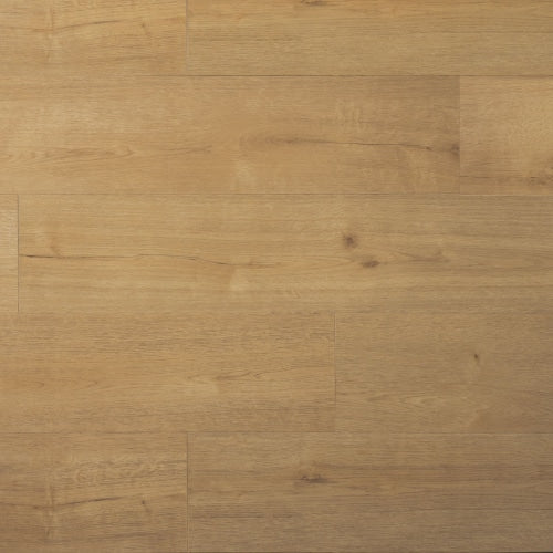 Douwes Dekker - PVC dryback plank kletskop