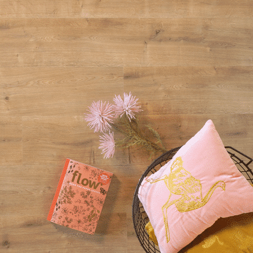 Douwes Dekker - Spontaan Plank Saffraan