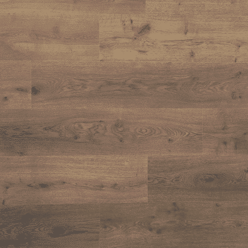 Douwes Dekker - Spontaan Plank Dille