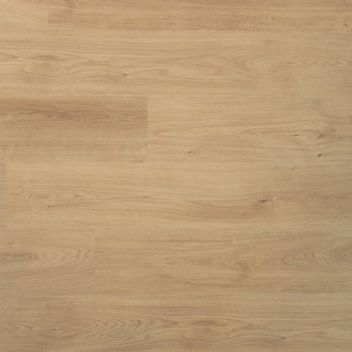 Douwes Dekker - Spontaan Plank Nootmuskaat