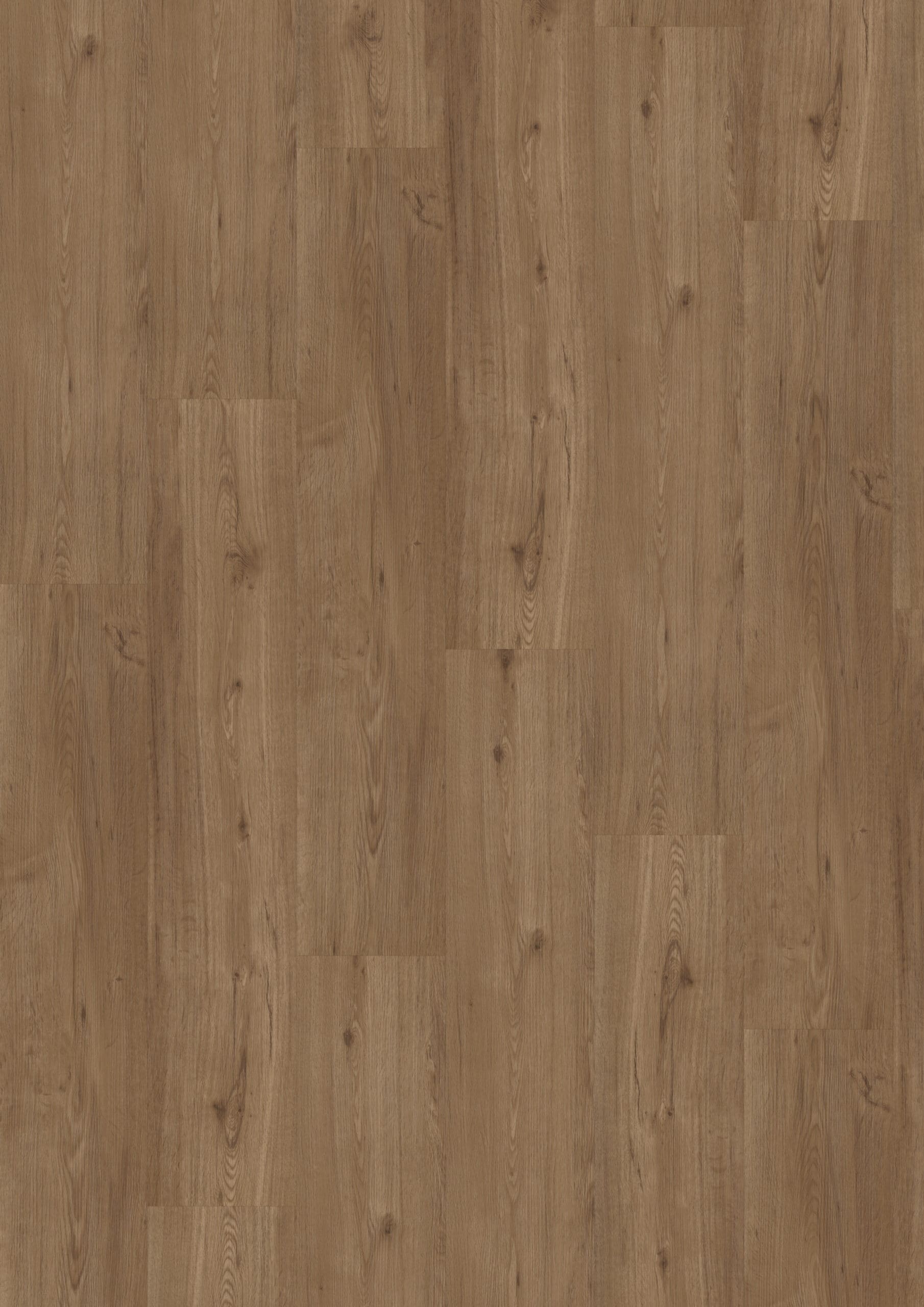 Vivafloors - Eiken 5001 Click PVC