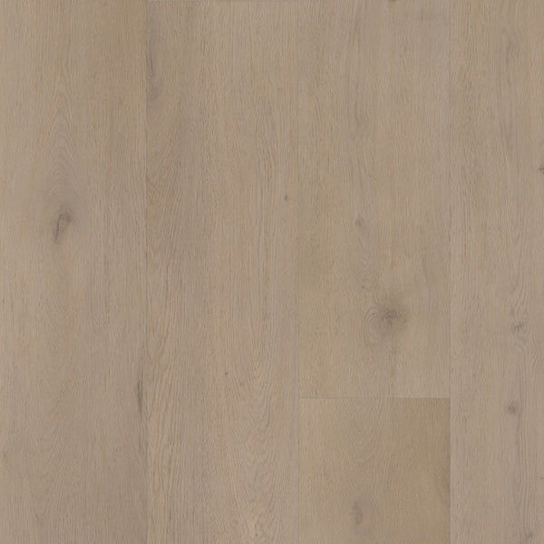 Belakos - Attico 830 Rigid Click