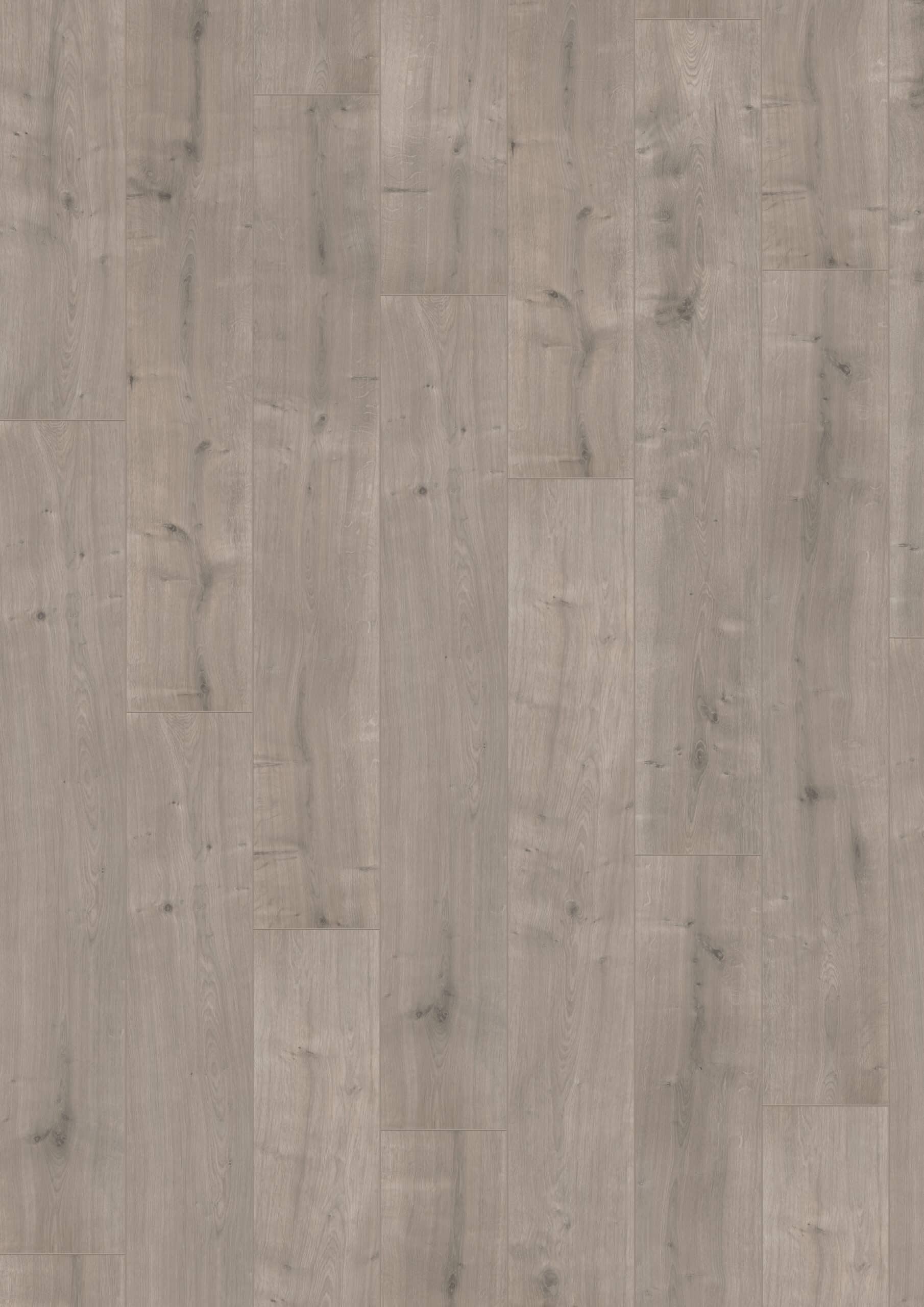 Hoomline - Optima V4 Wellington 017