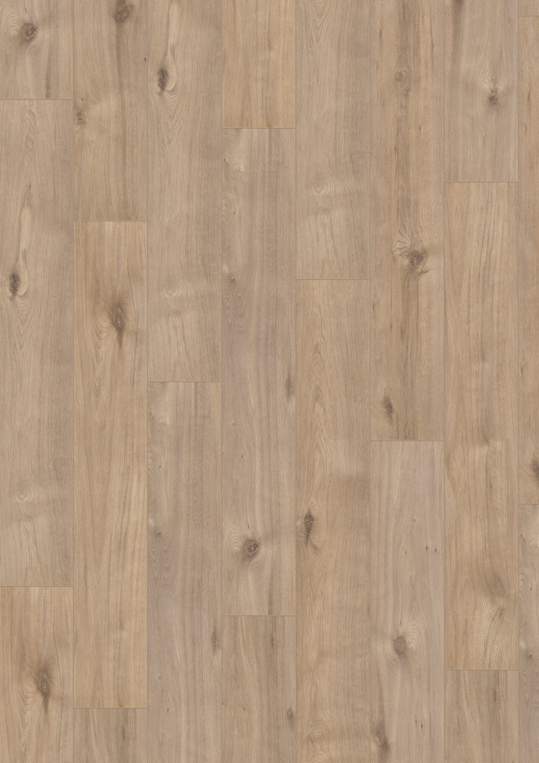 Hoomline - Optima V4 Auckland 969