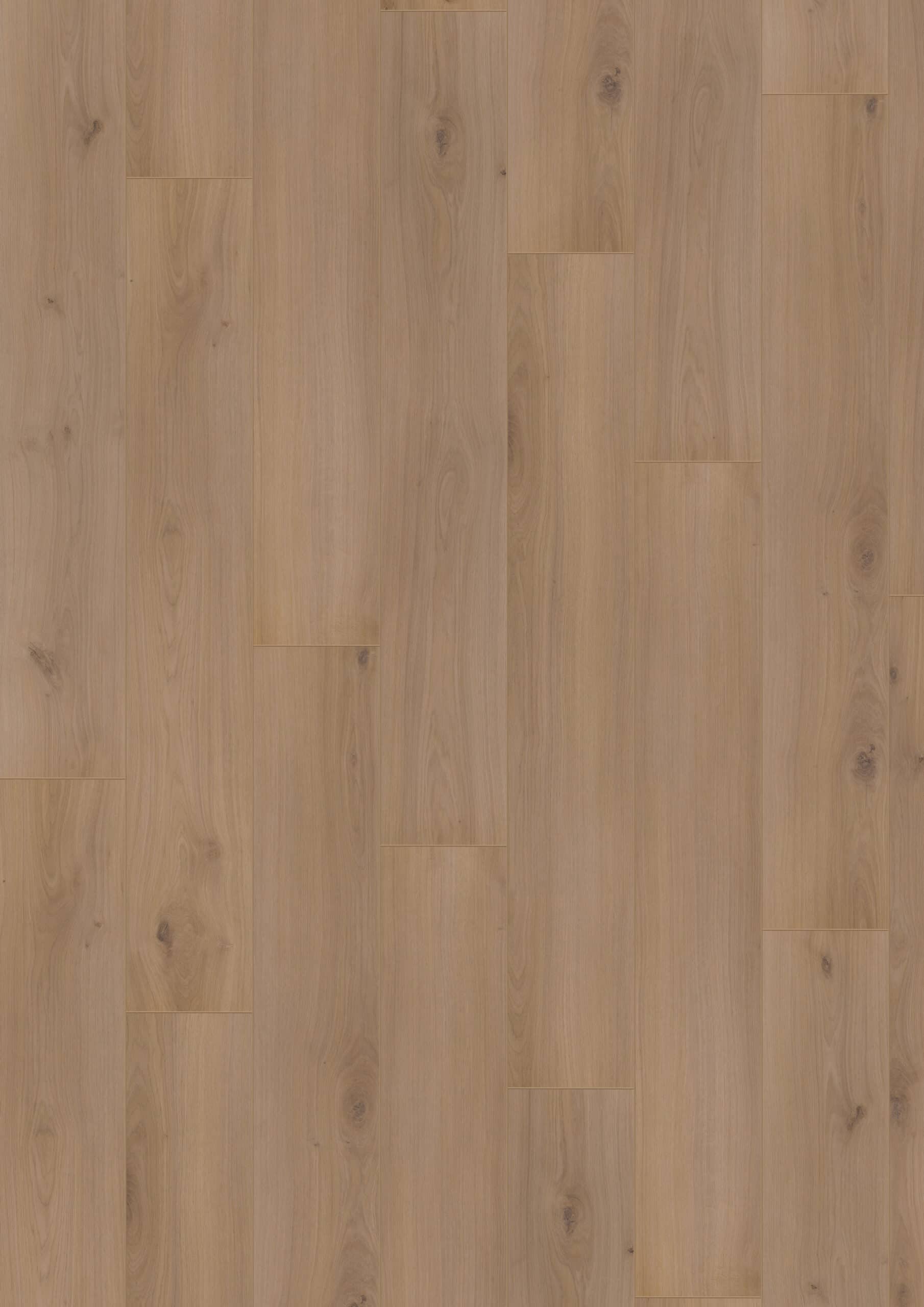 Hoomline - Optima V4 Alice Springs 4937