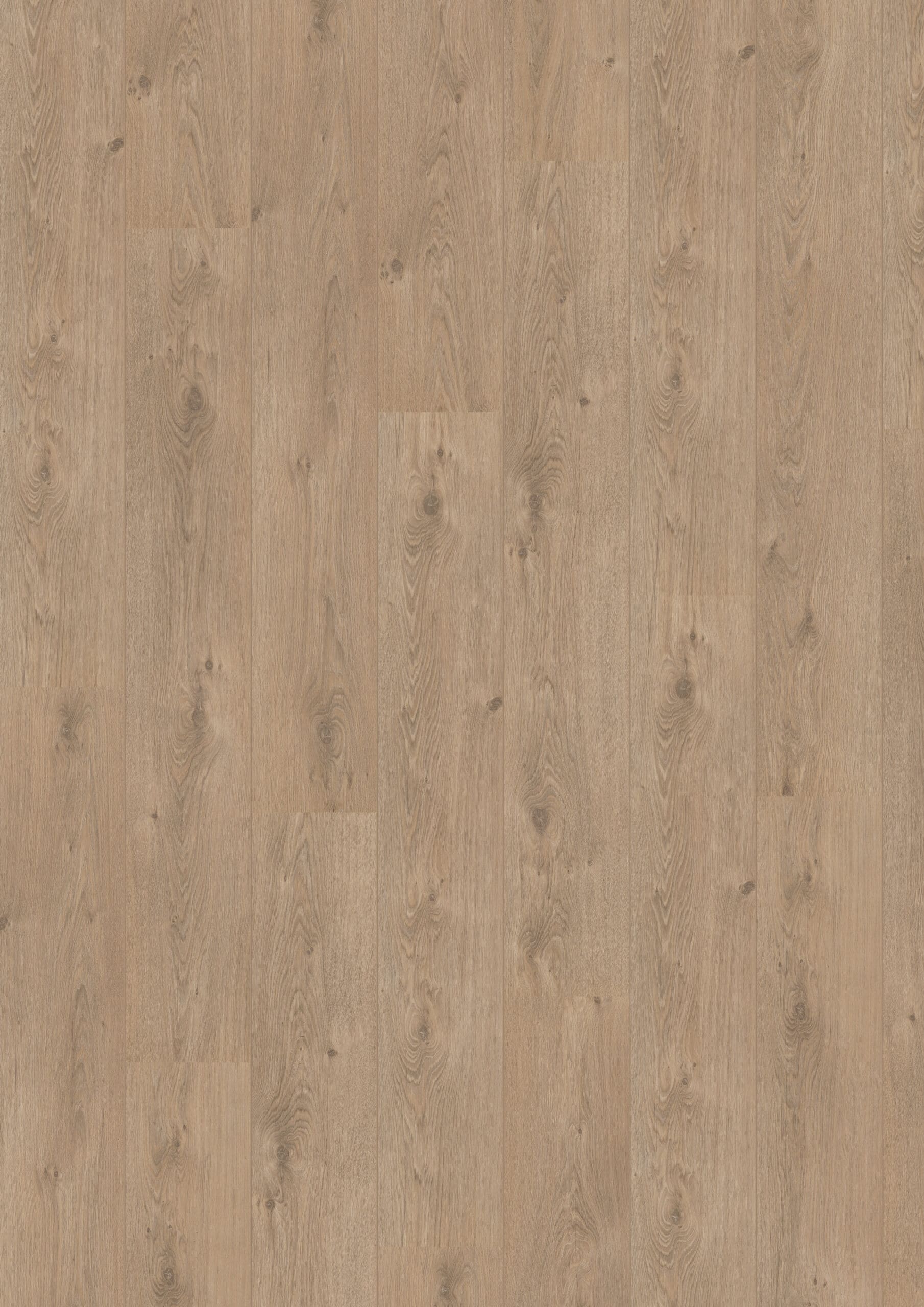 Hoomline - Royal V2 Aquaprotect Marche 583