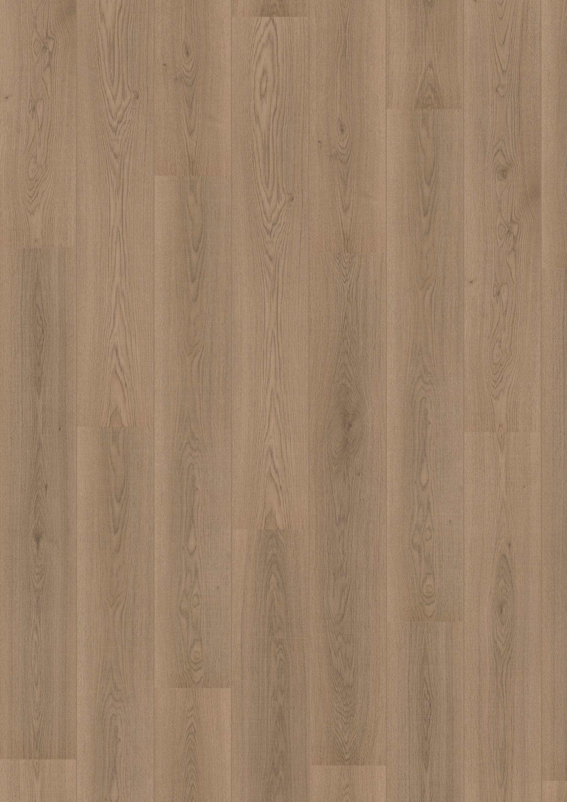 Hoomline - Royal V2 Aquaprotect Sardegna 4942