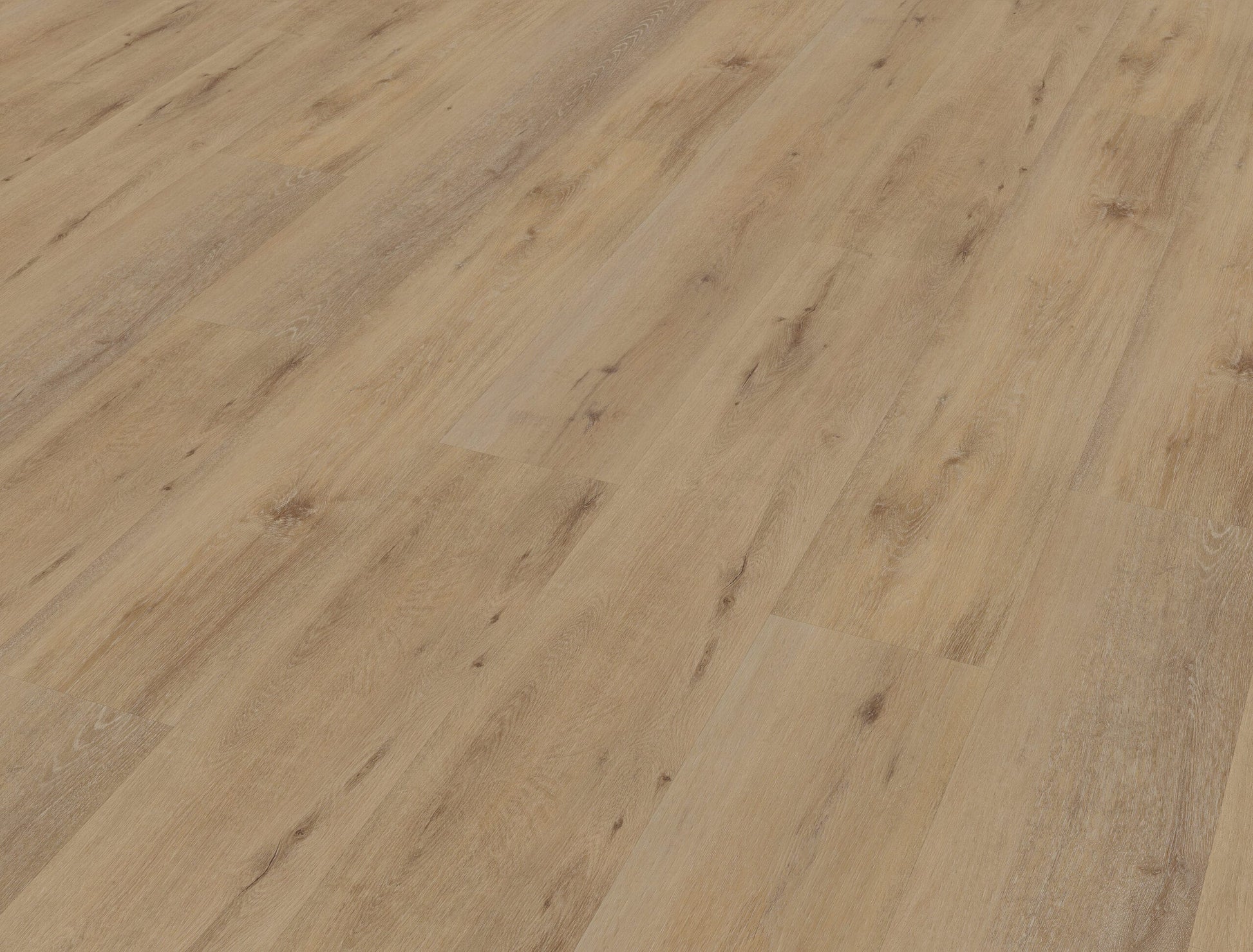 Belakos - Attico 800