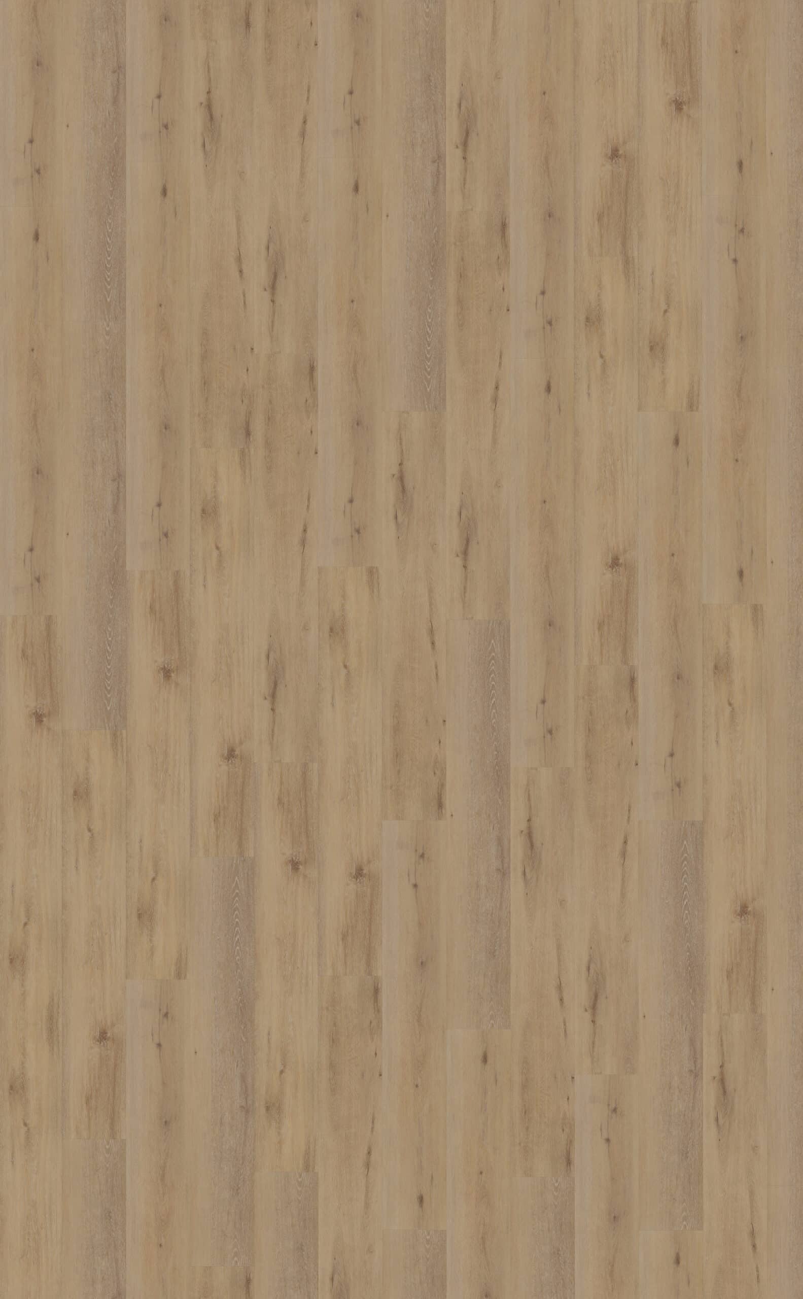 Belakos - Attico 800