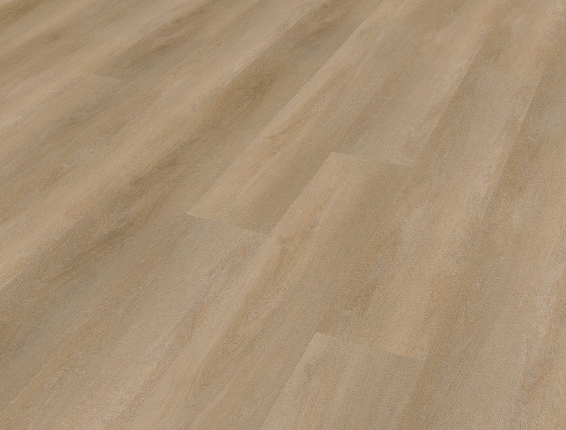 Belakos - Attico 810