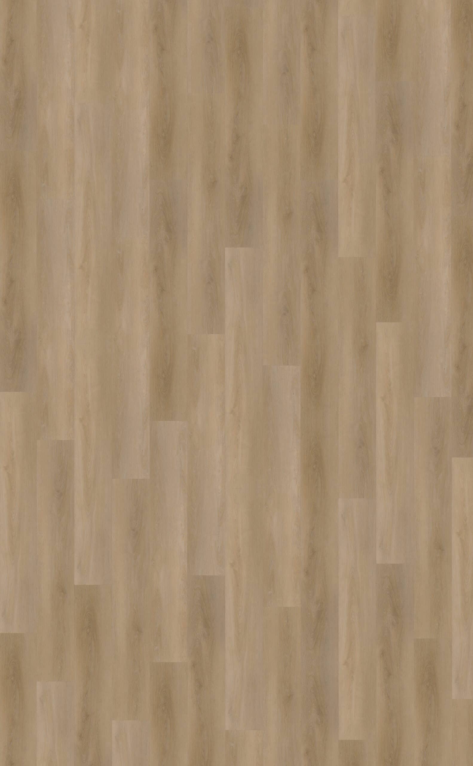 Belakos - Attico 810