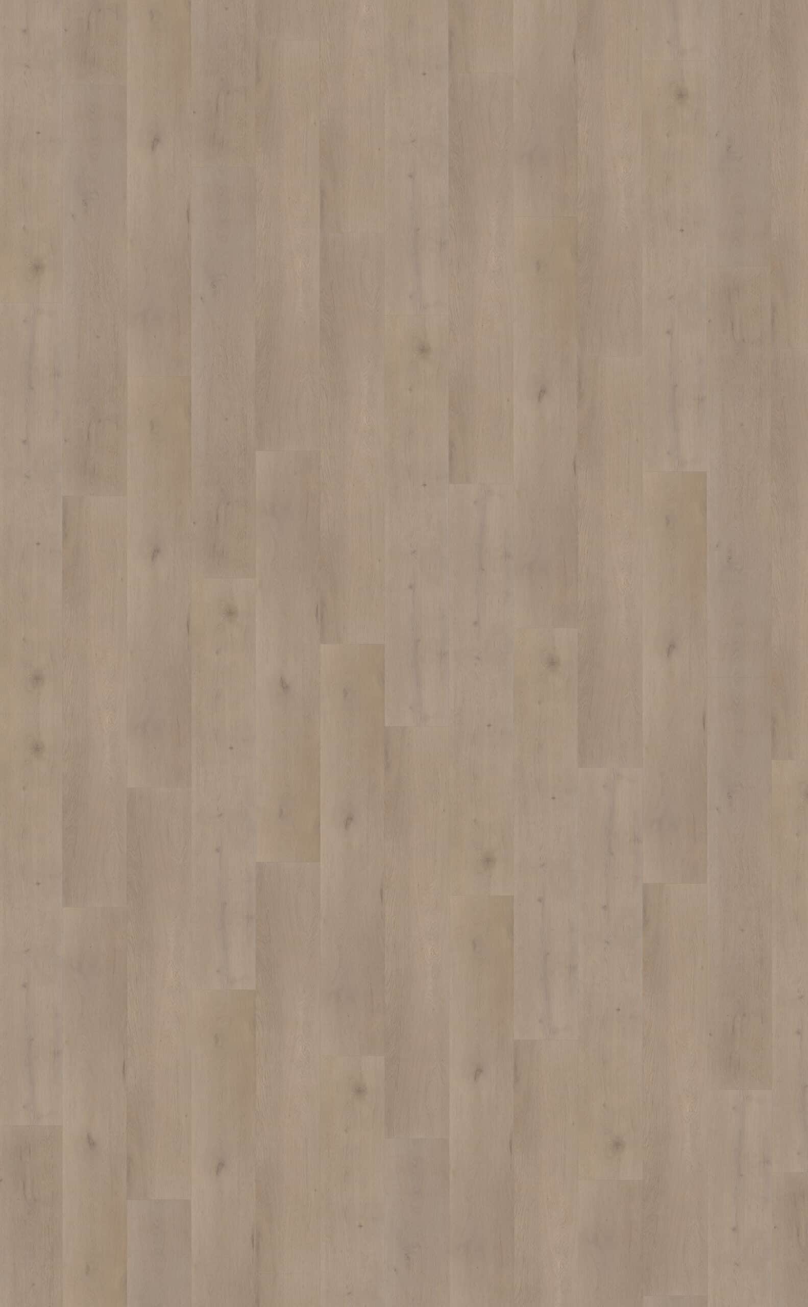 Belakos - Attico 830