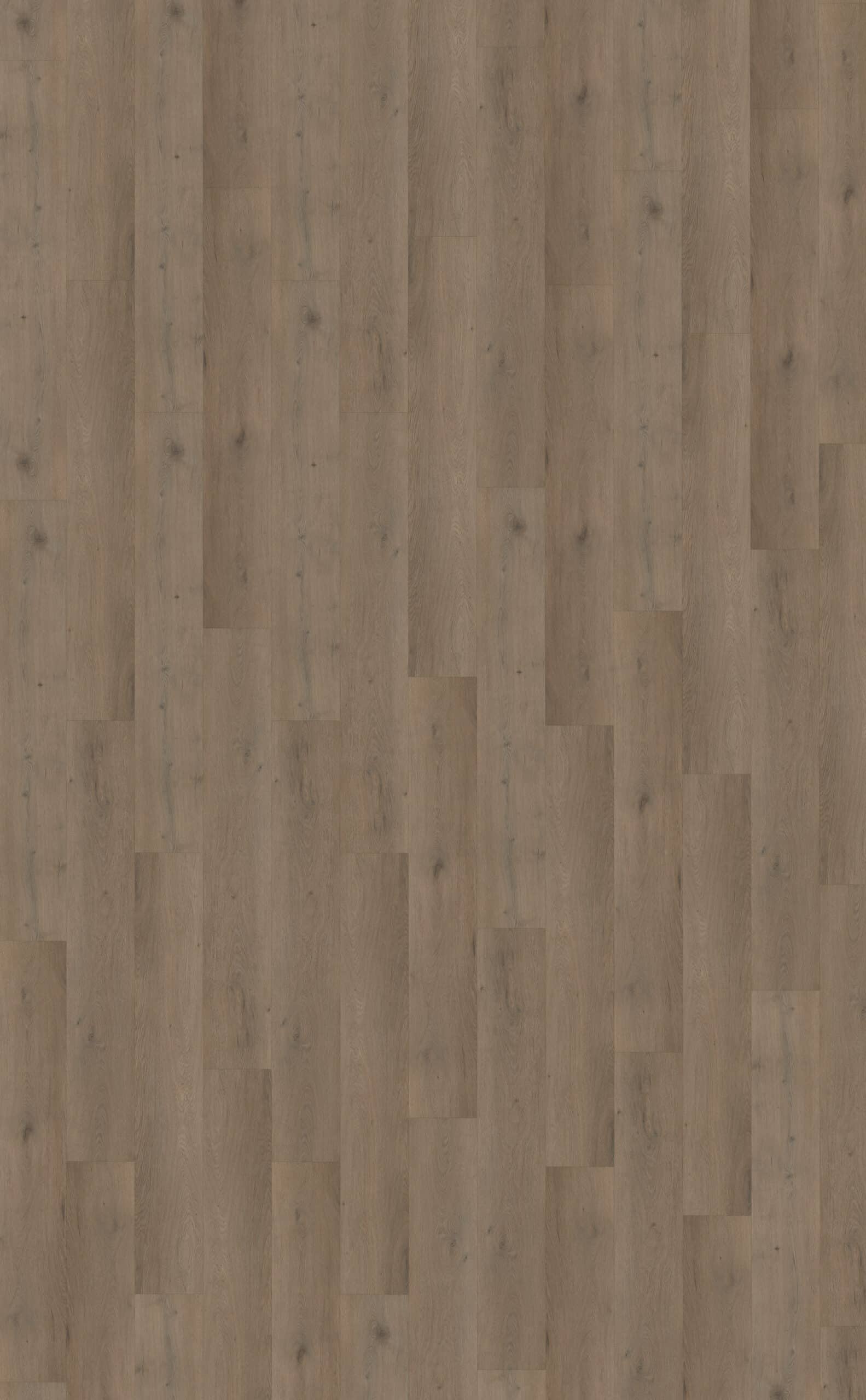 Belakos - Attico 840