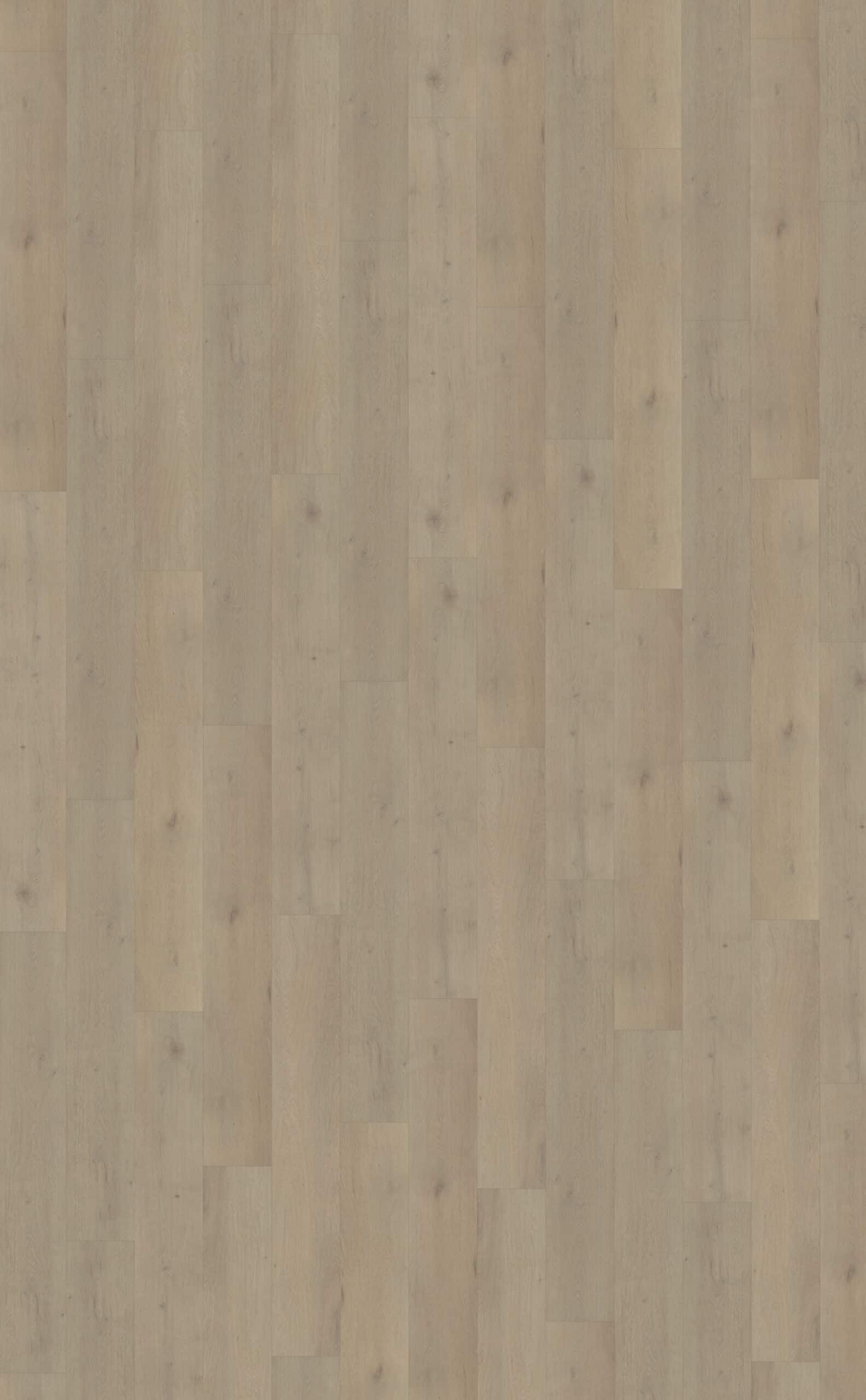 Belakos - Attico 850 | Rigid Click