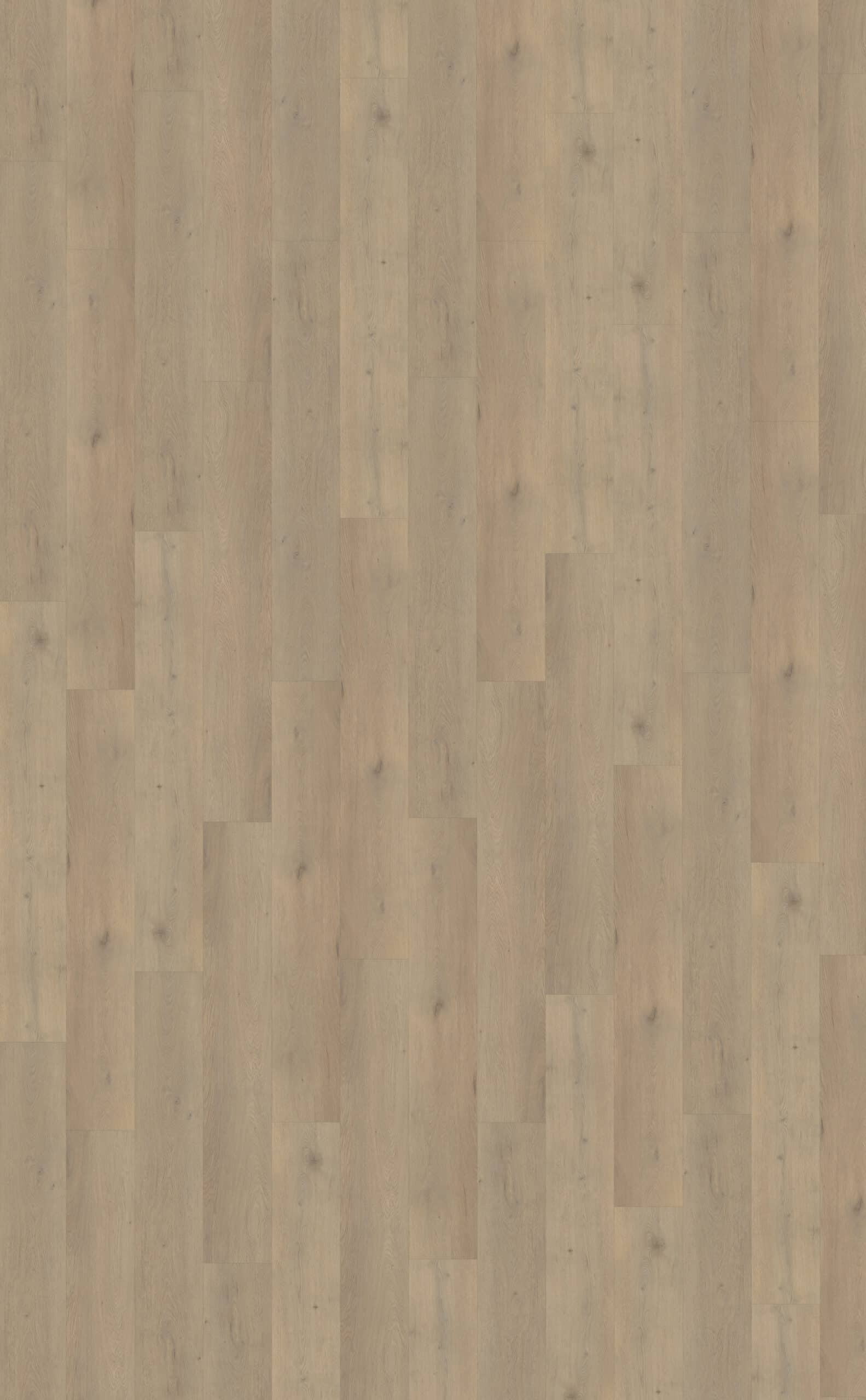 Belakos - Attico 860 | Rigid Click