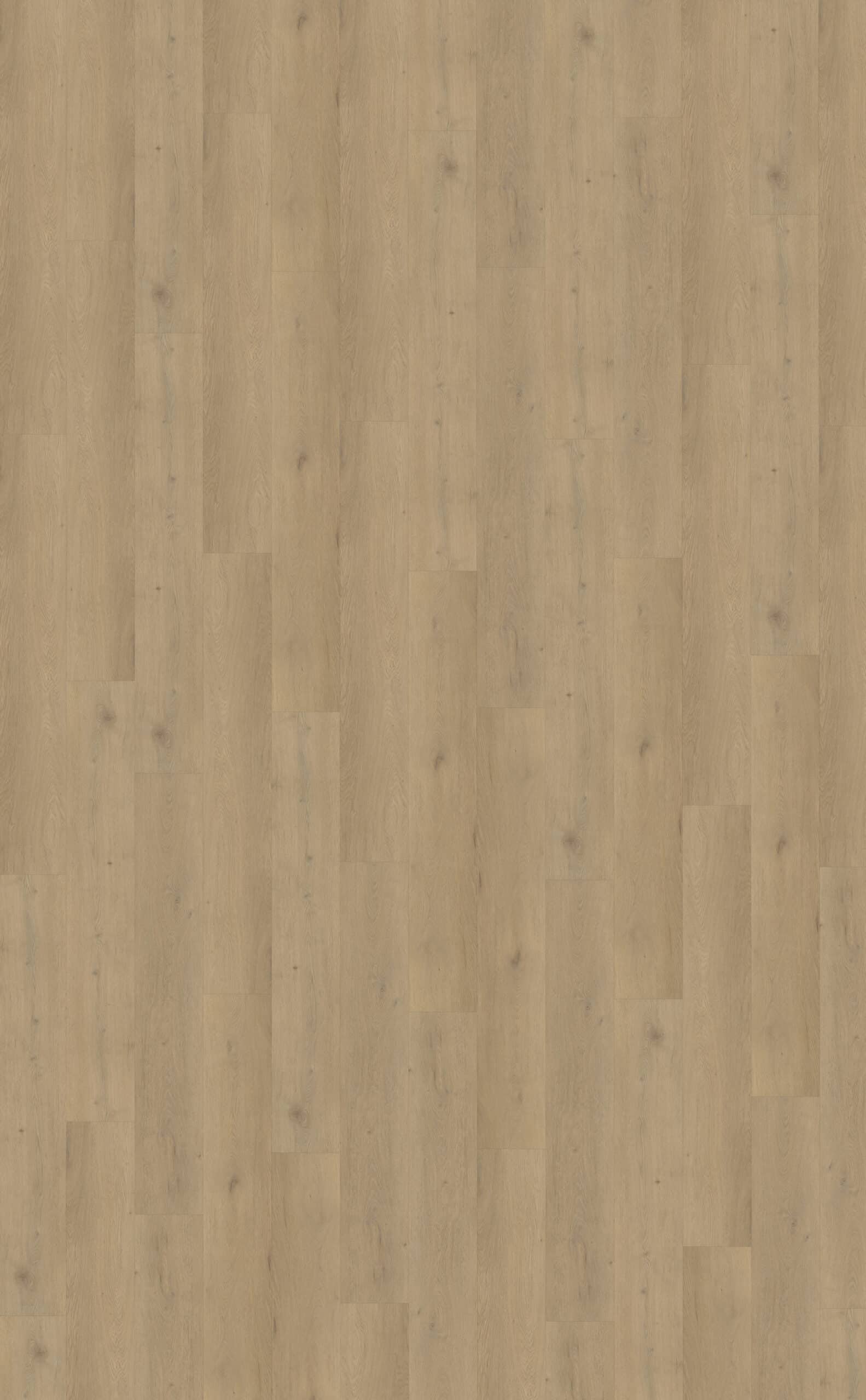 Belakos - Attico 870 | Rigid Click