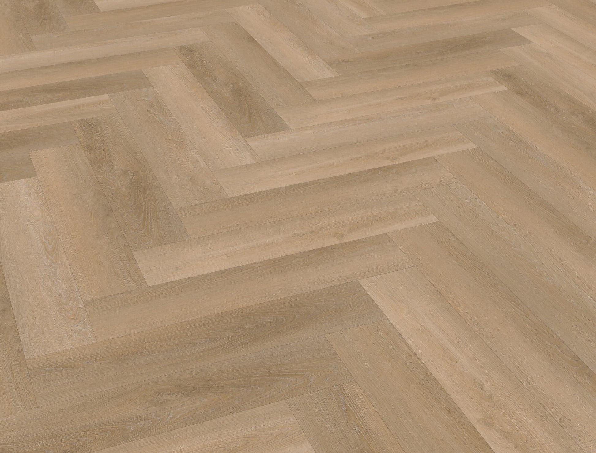 Belakos - Attico visgraat XL 81