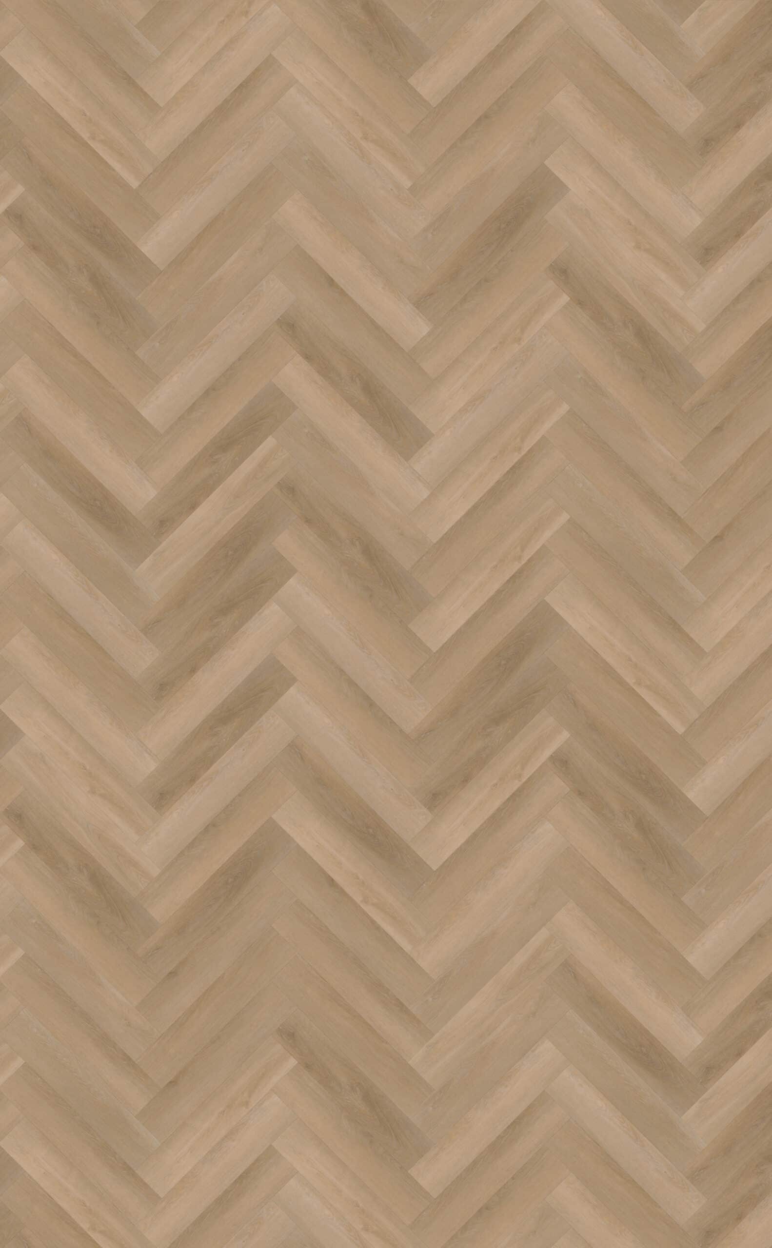 Belakos - Attico visgraat XL 81