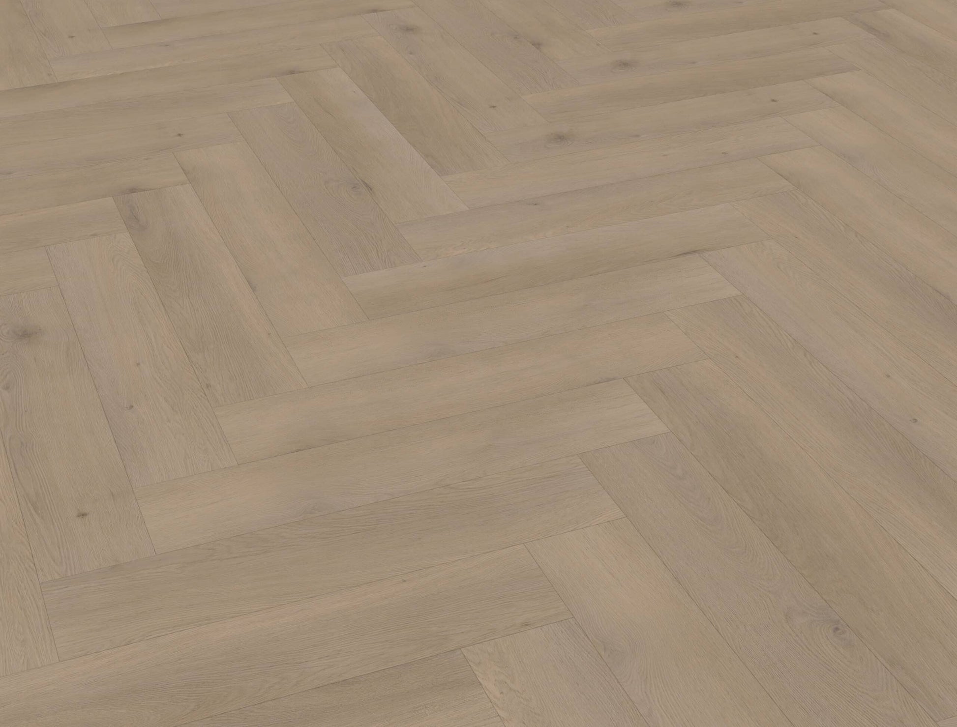 Belakos - Attico visgraat XL 82