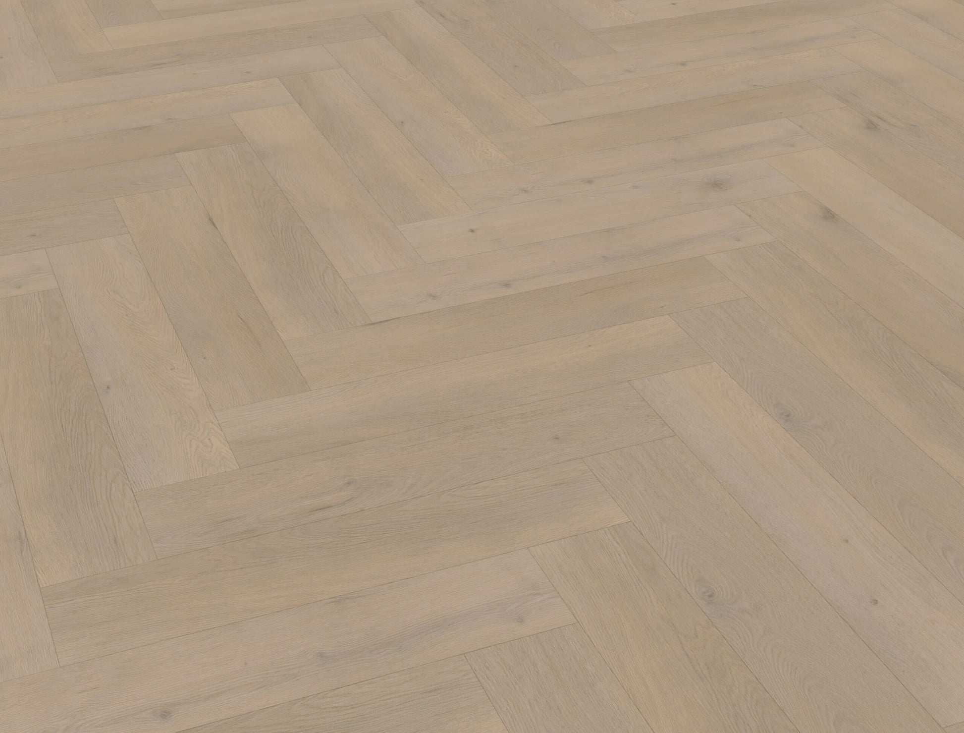 Belakos - Attico visgraat XL 83