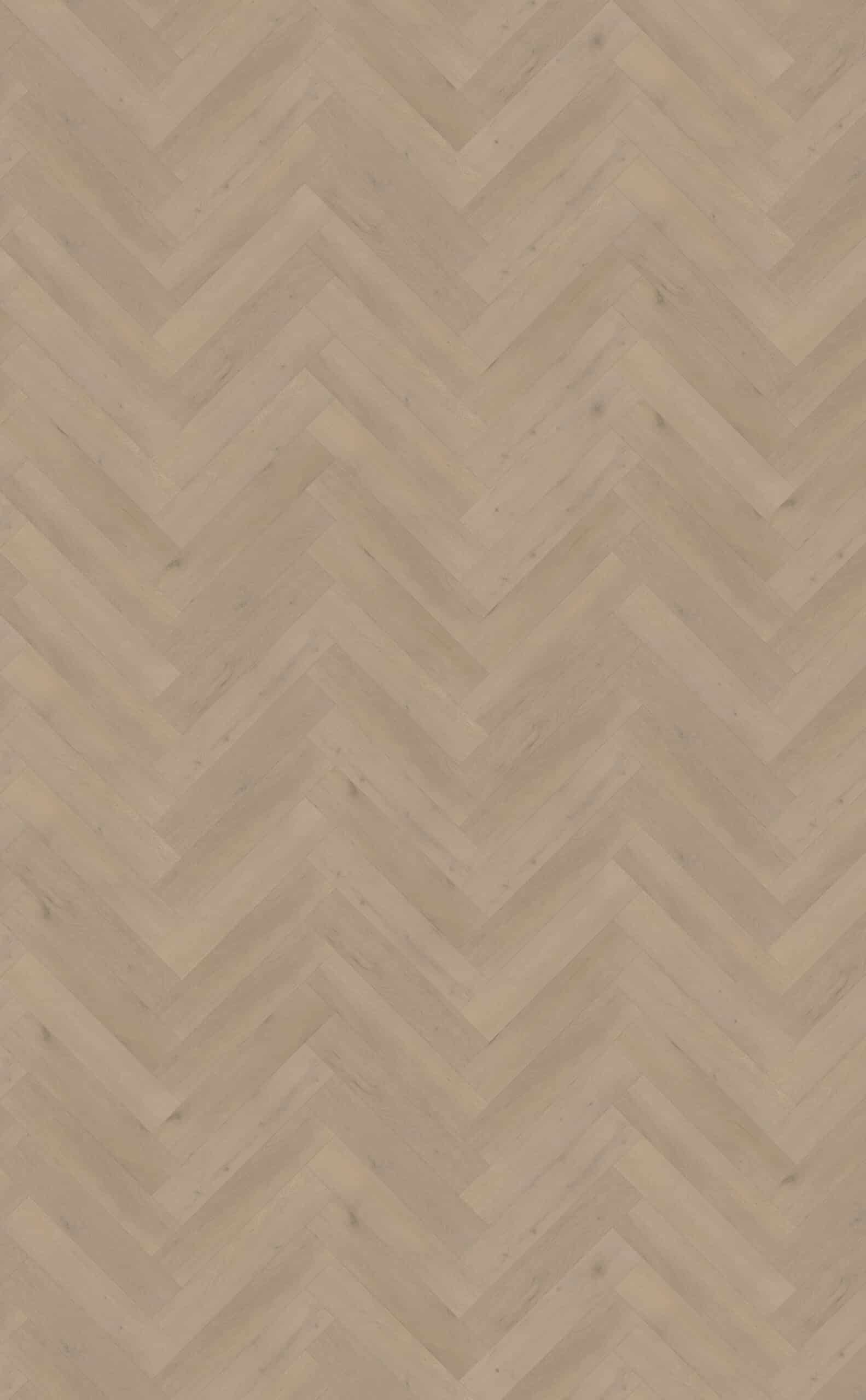 Belakos - Attico visgraat XL 83