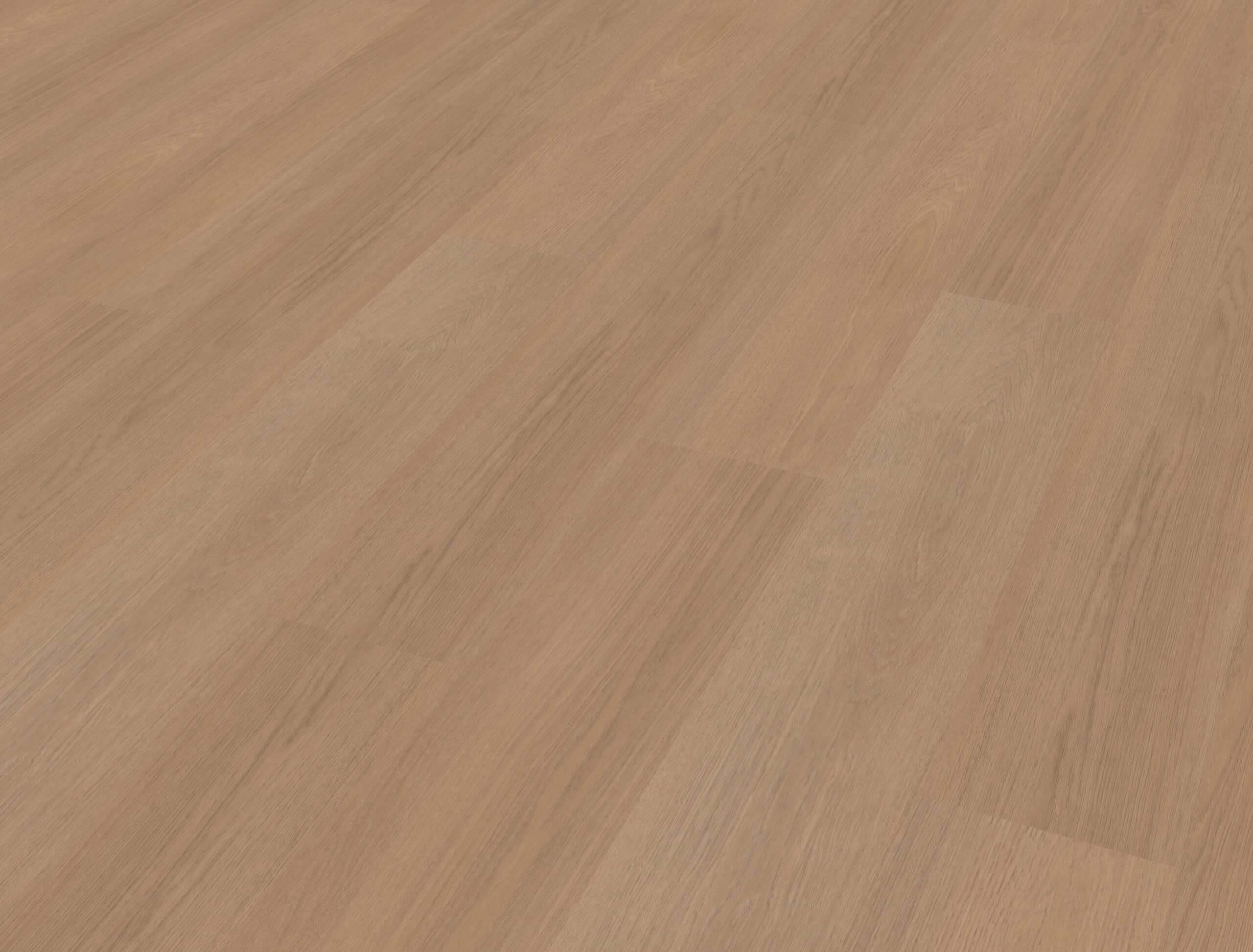 Belakos - Futuro 500