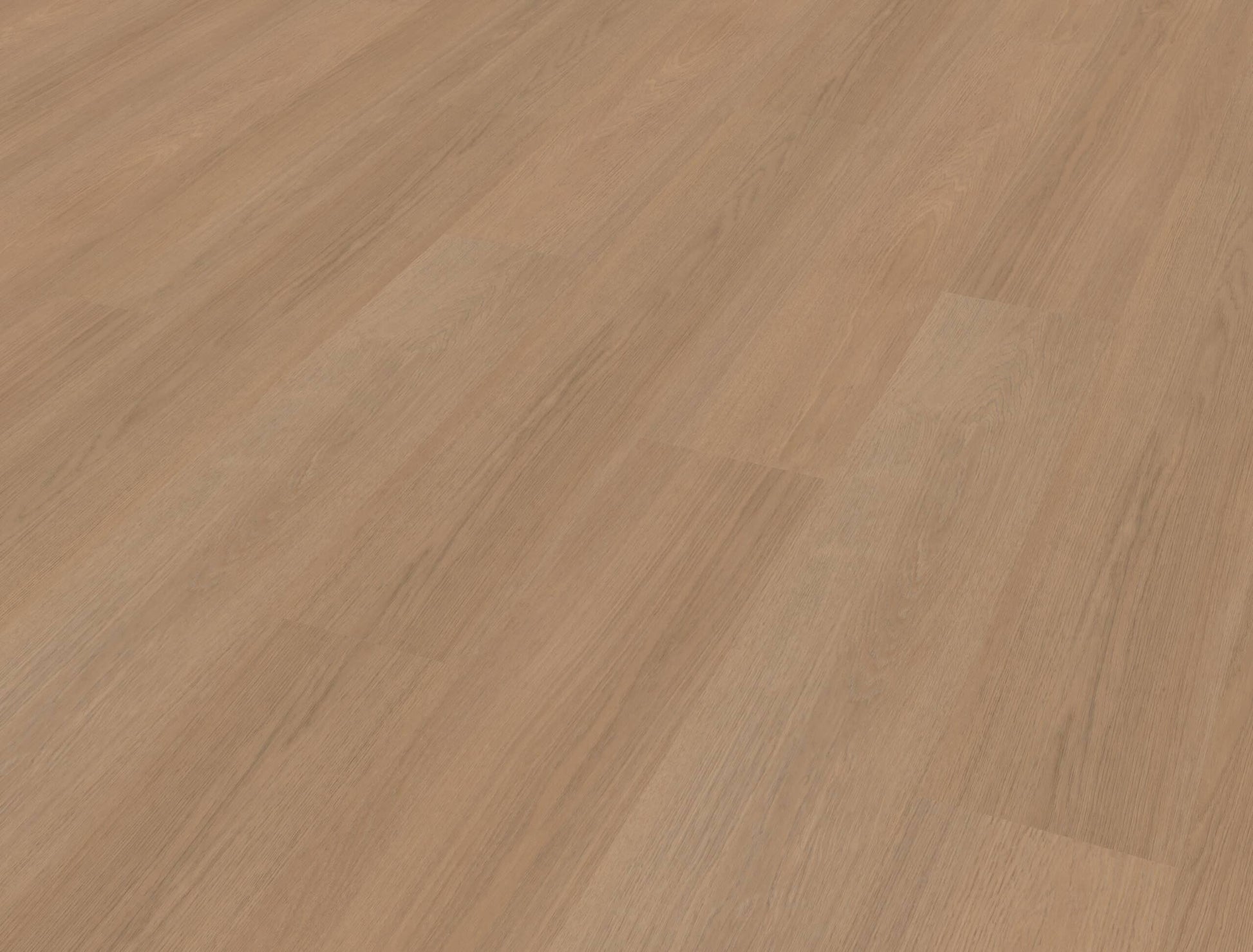 Belakos - Futuro 500 Rigid Click