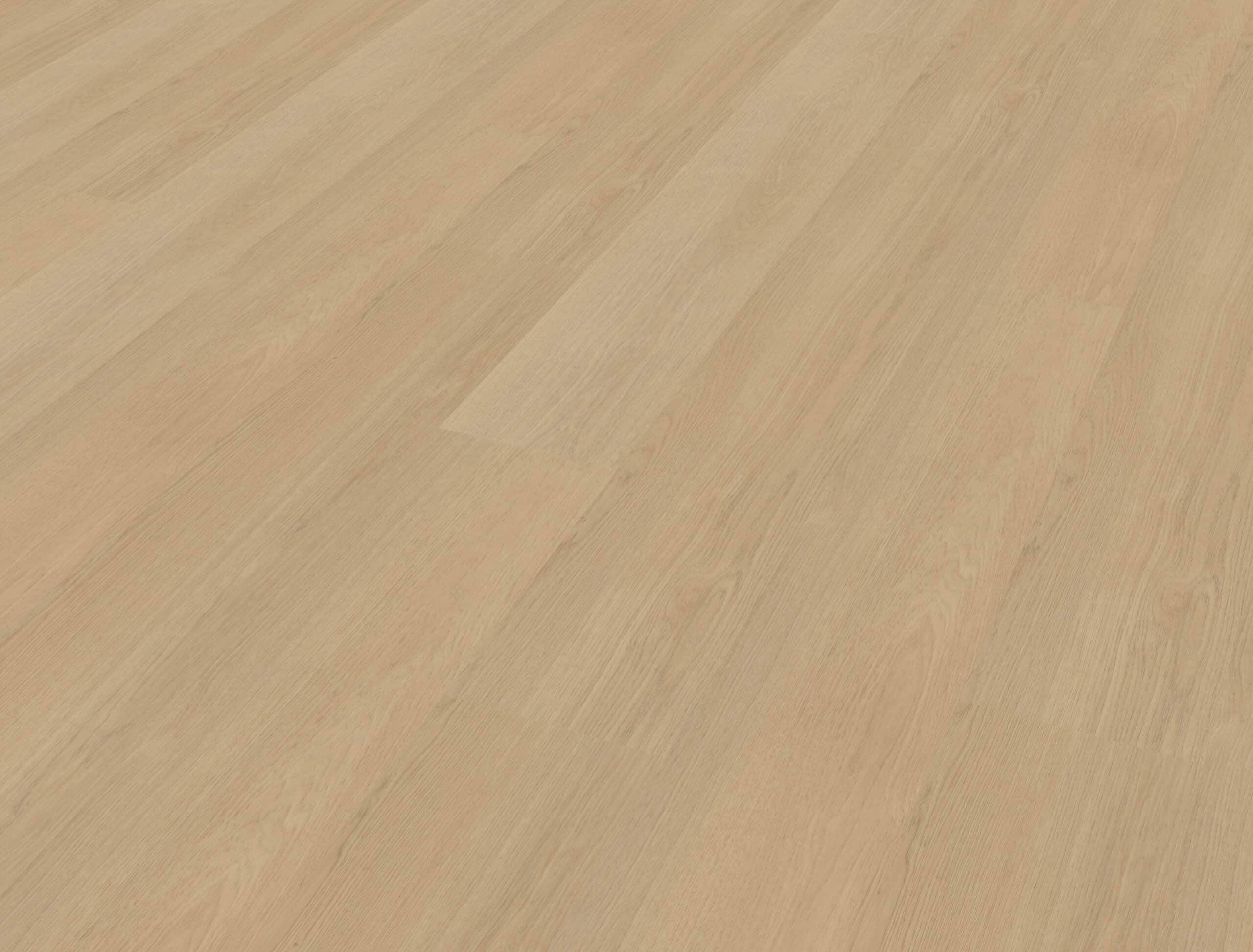 Belakos - Futuro 510