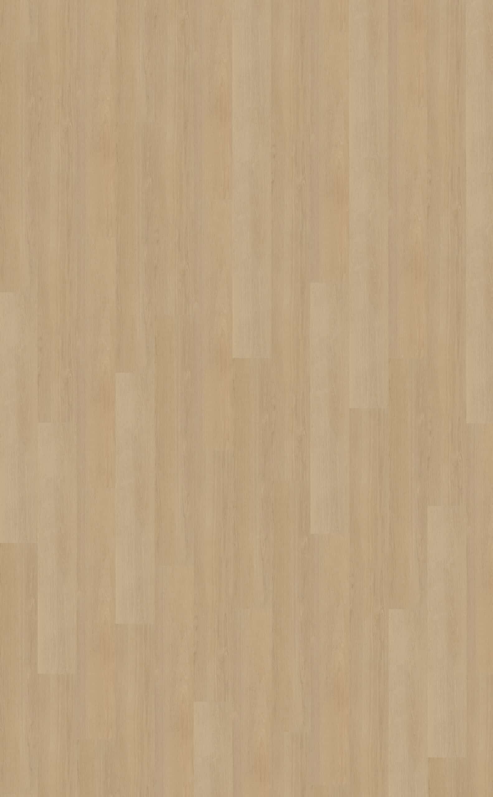 Belakos - Futuro 510 Rigid Click