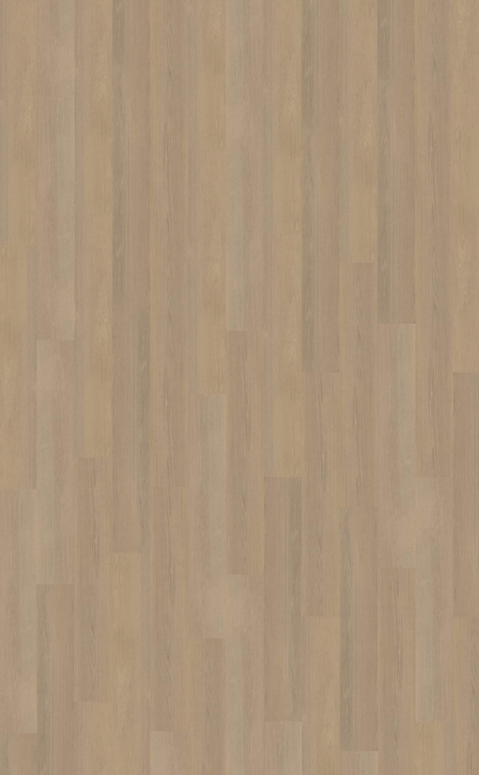 Belakos - Futuro 530 Rigid Click