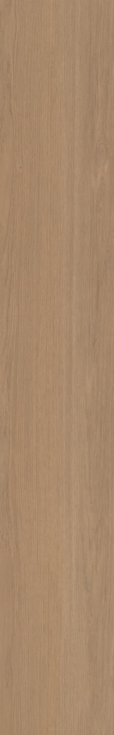 Belakos - Futuro 500 Rigid Click