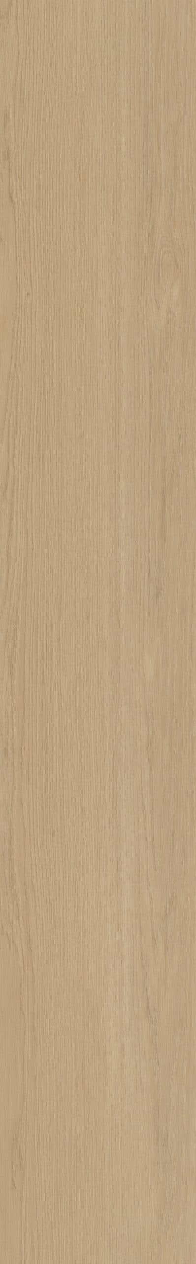 Belakos - Futuro 510 Rigid Click