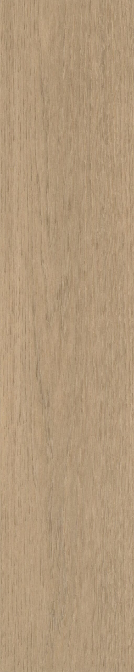 Belakos - Futuro Visgraat XL 51