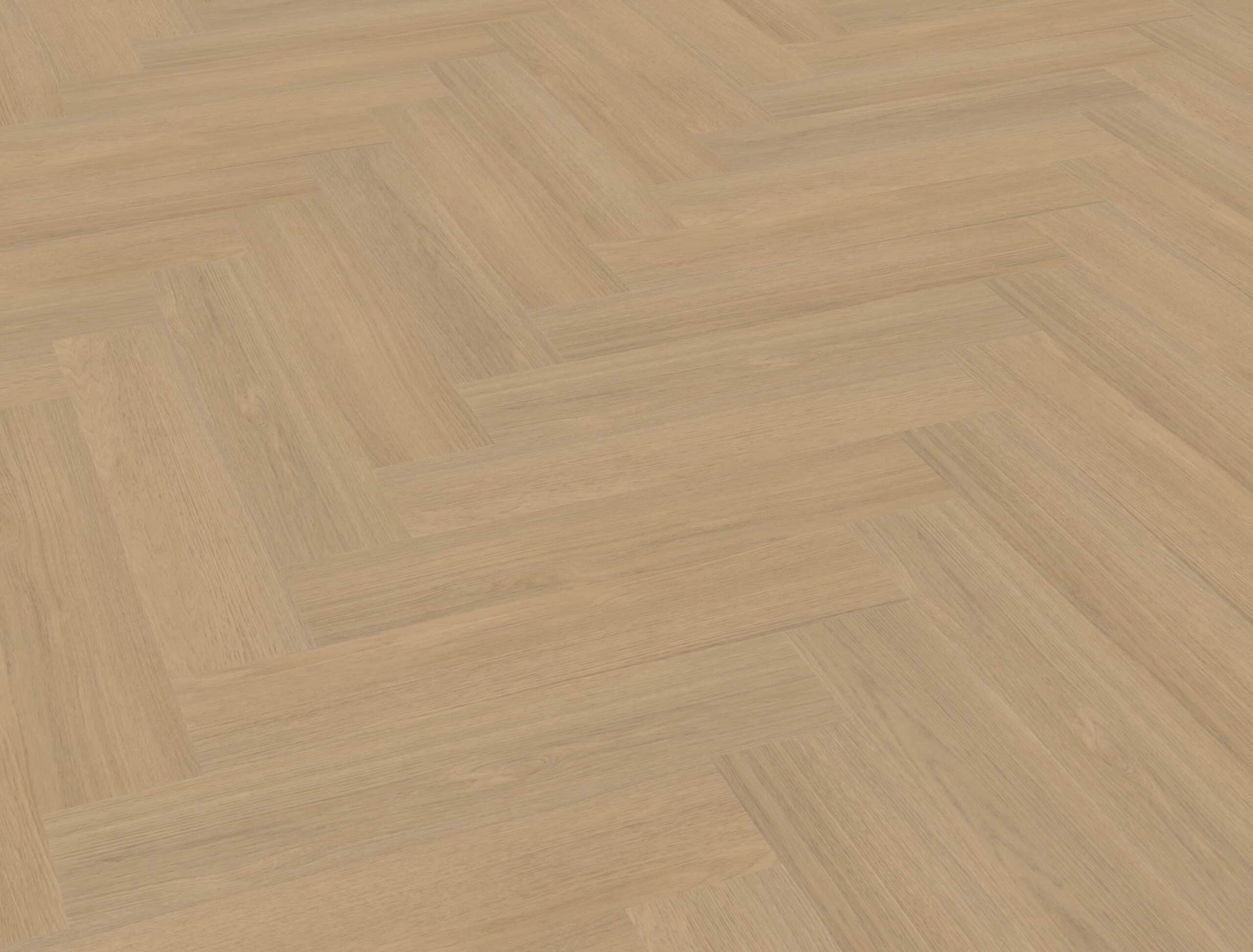 Belakos - Futuro Visgraat XL 51