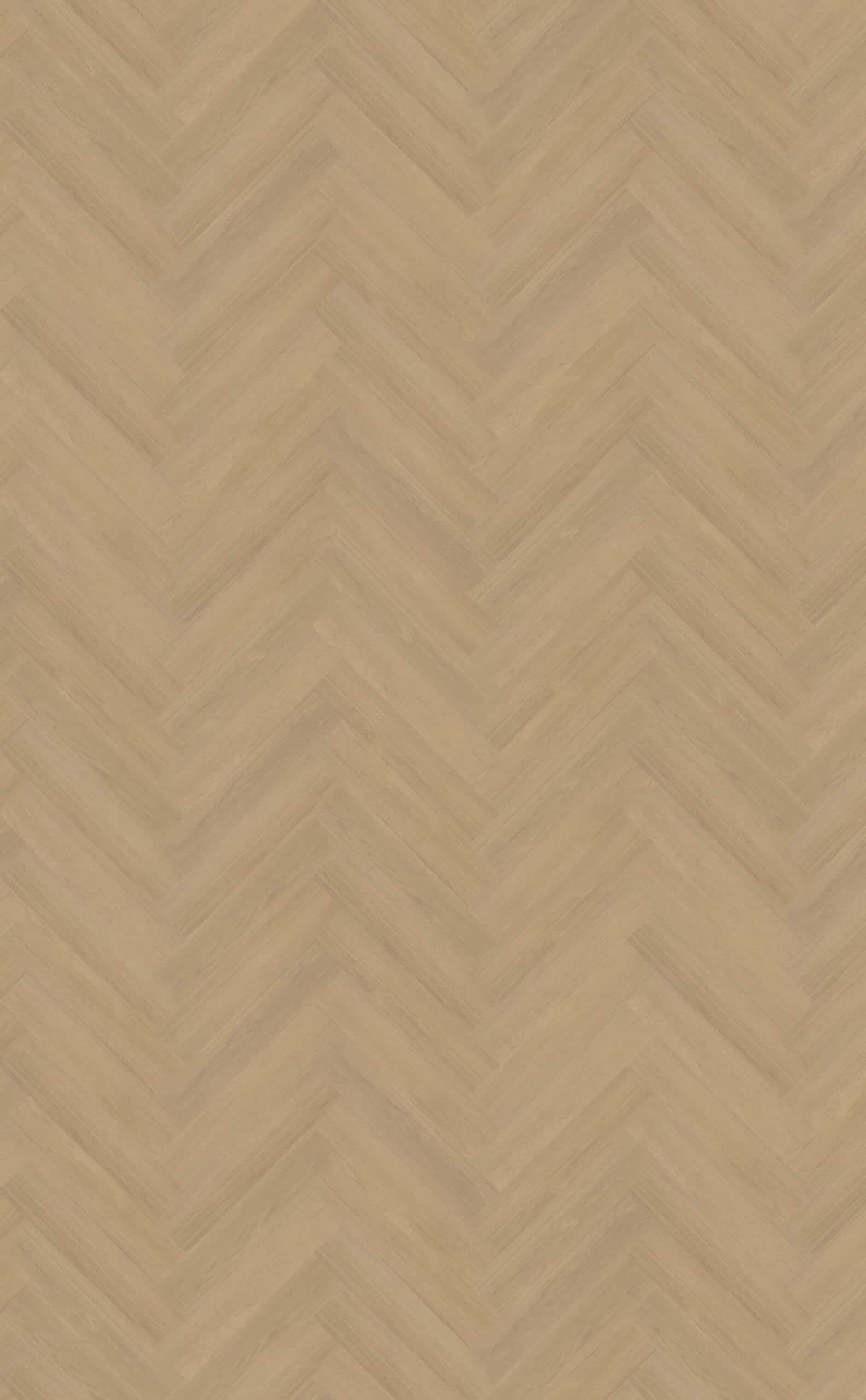 Belakos - Futuro Visgraat 51 Rigid Click