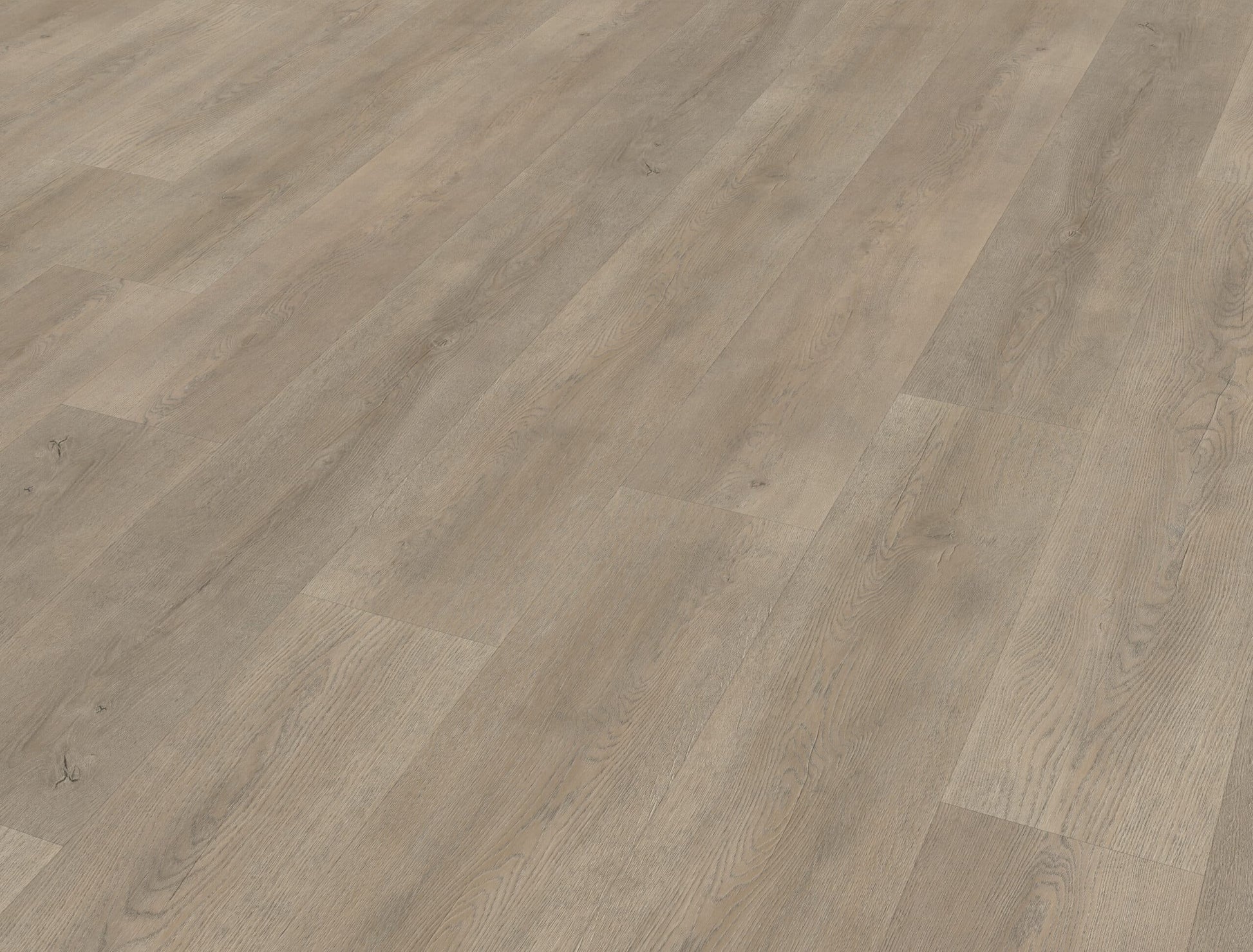 Belakos - Palazzo 700