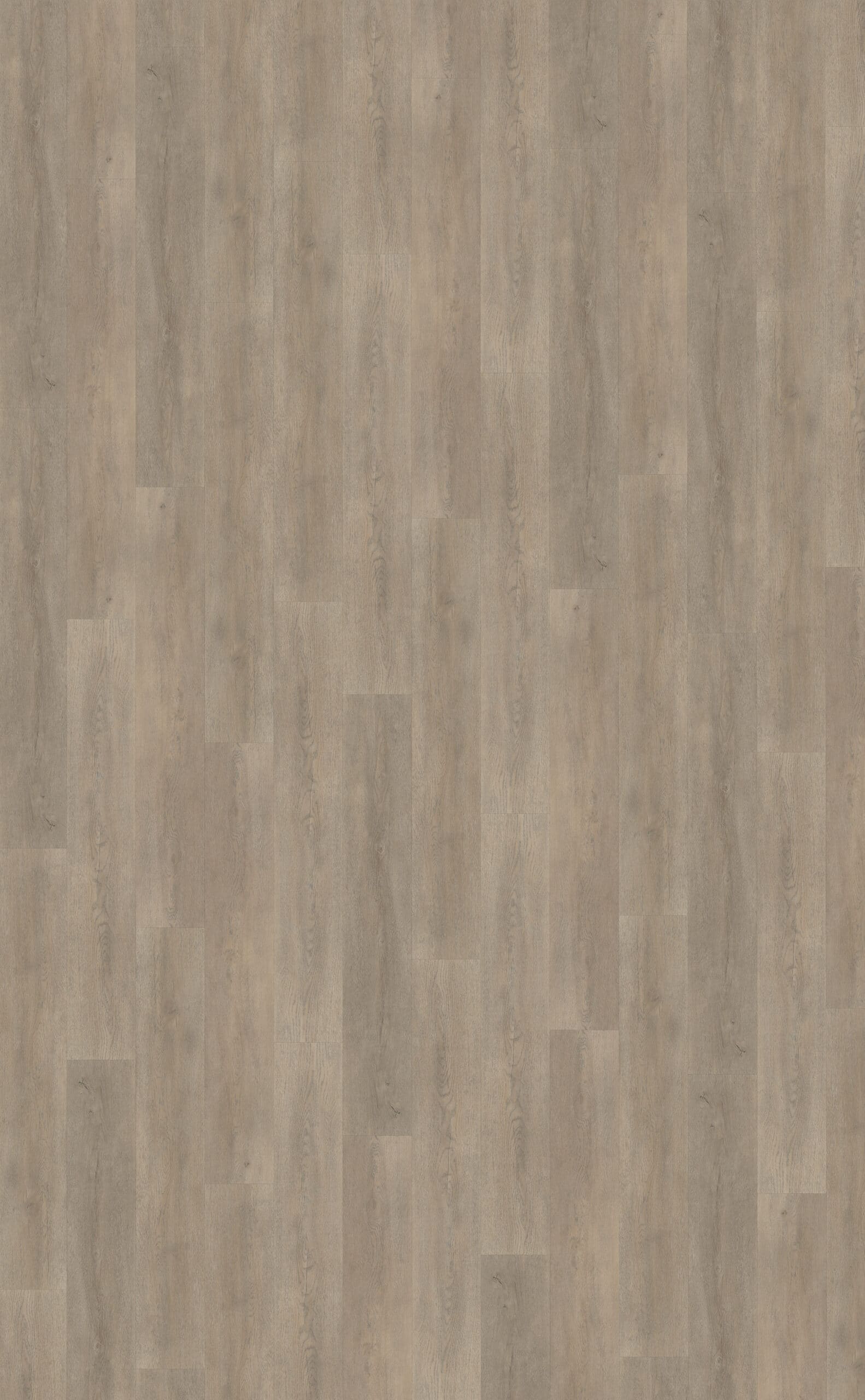 Belakos - Palazzo 700