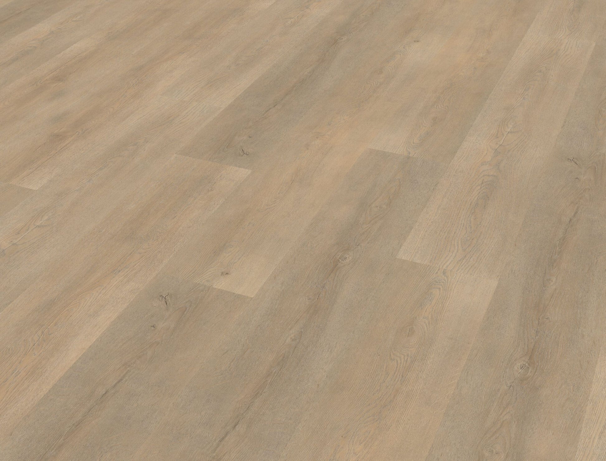 Belakos - Palazzo 710