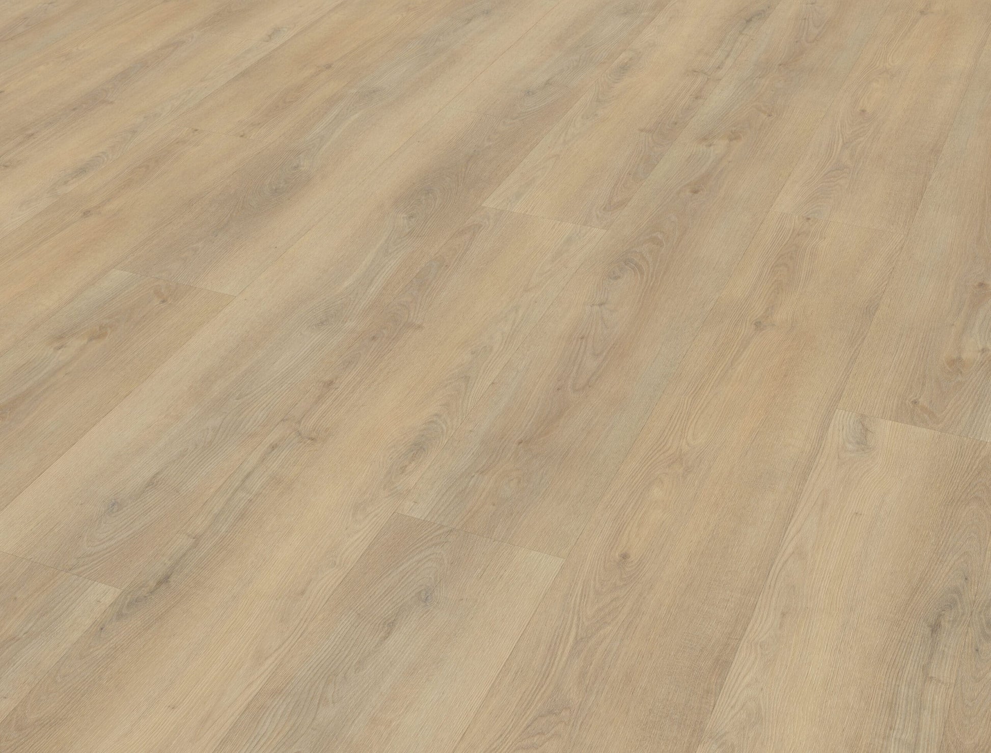 Belakos - Palazzo 720