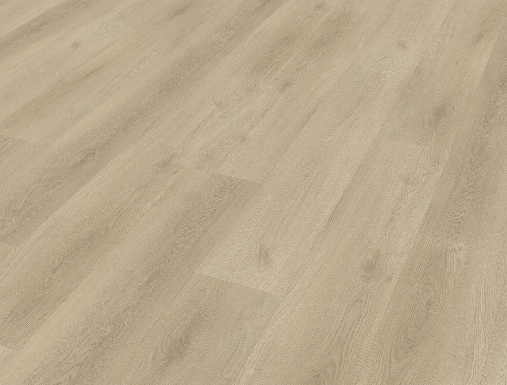 Belakos - Palazzo 730