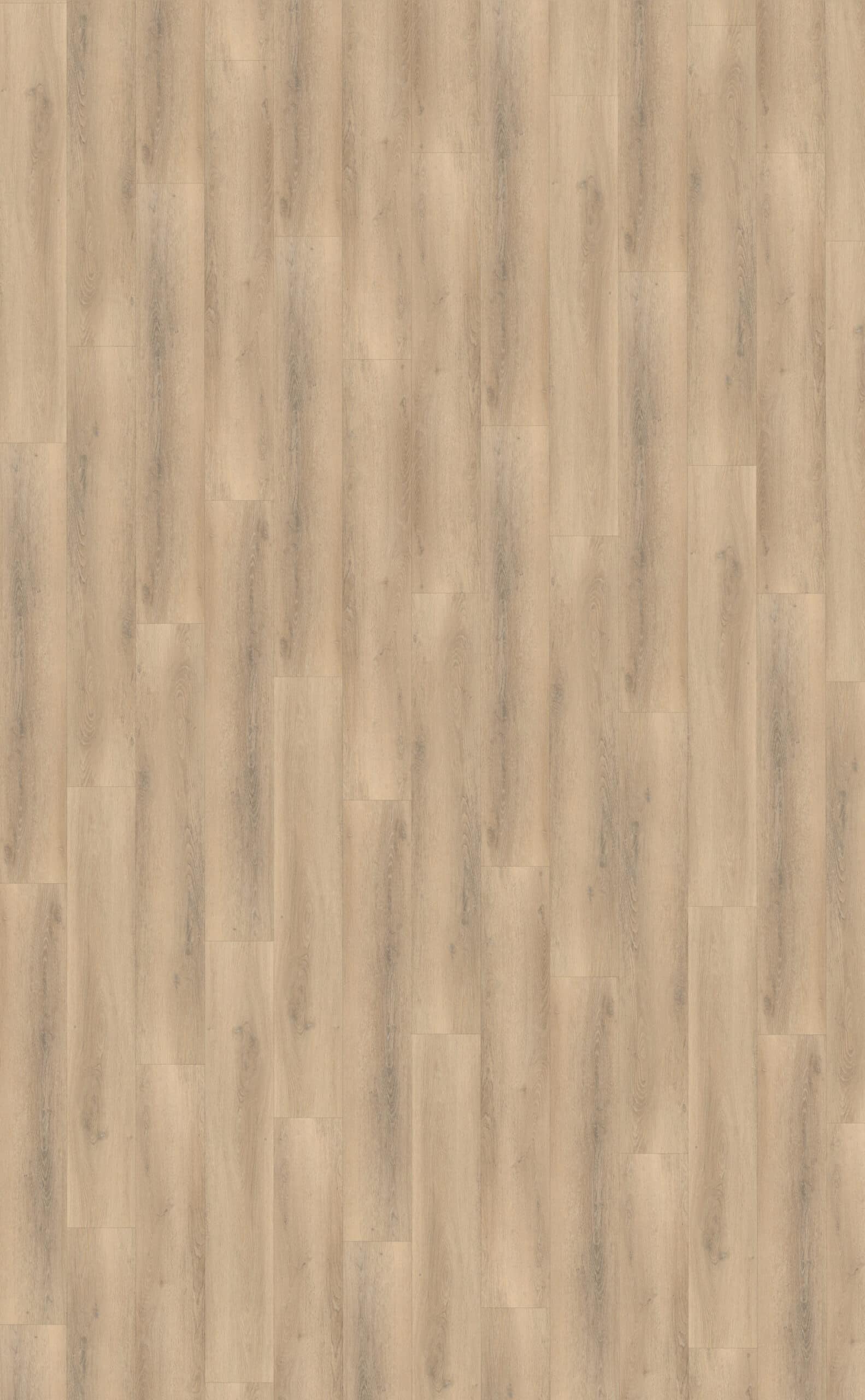 Belakos - Palazzo 750