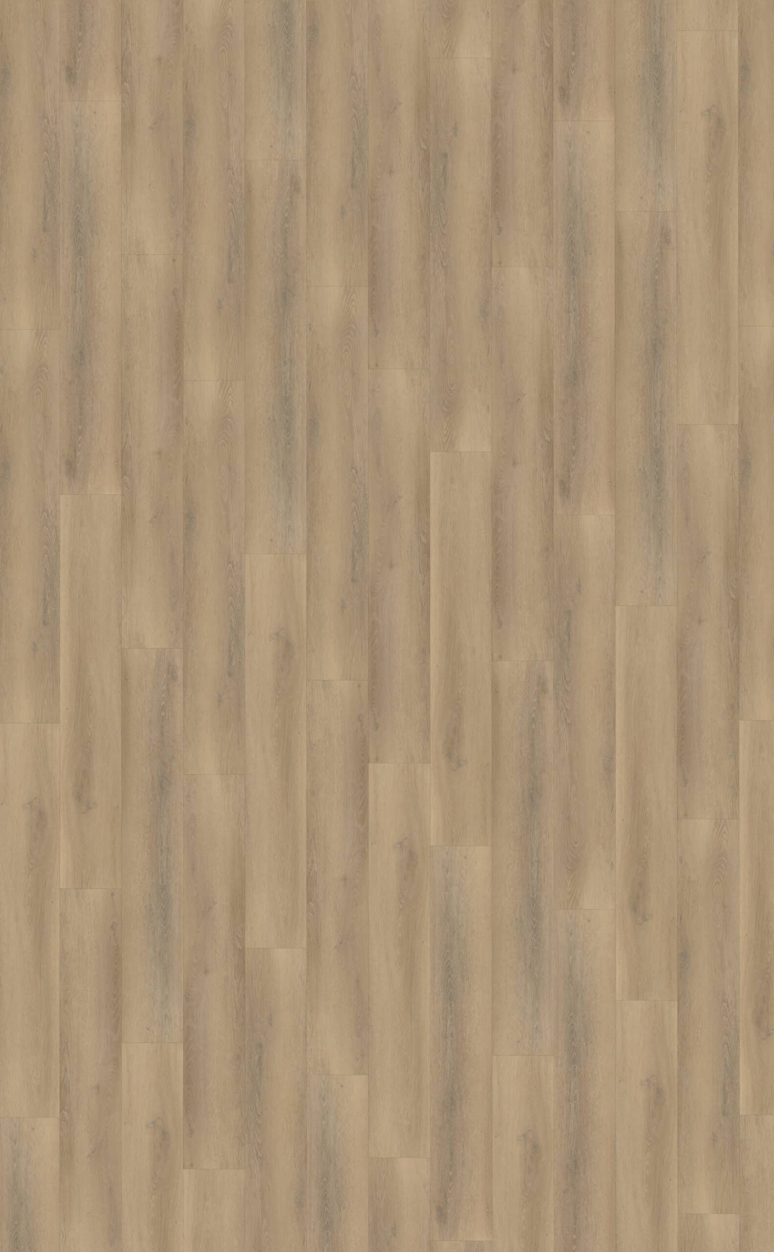 Belakos - Palazzo 760