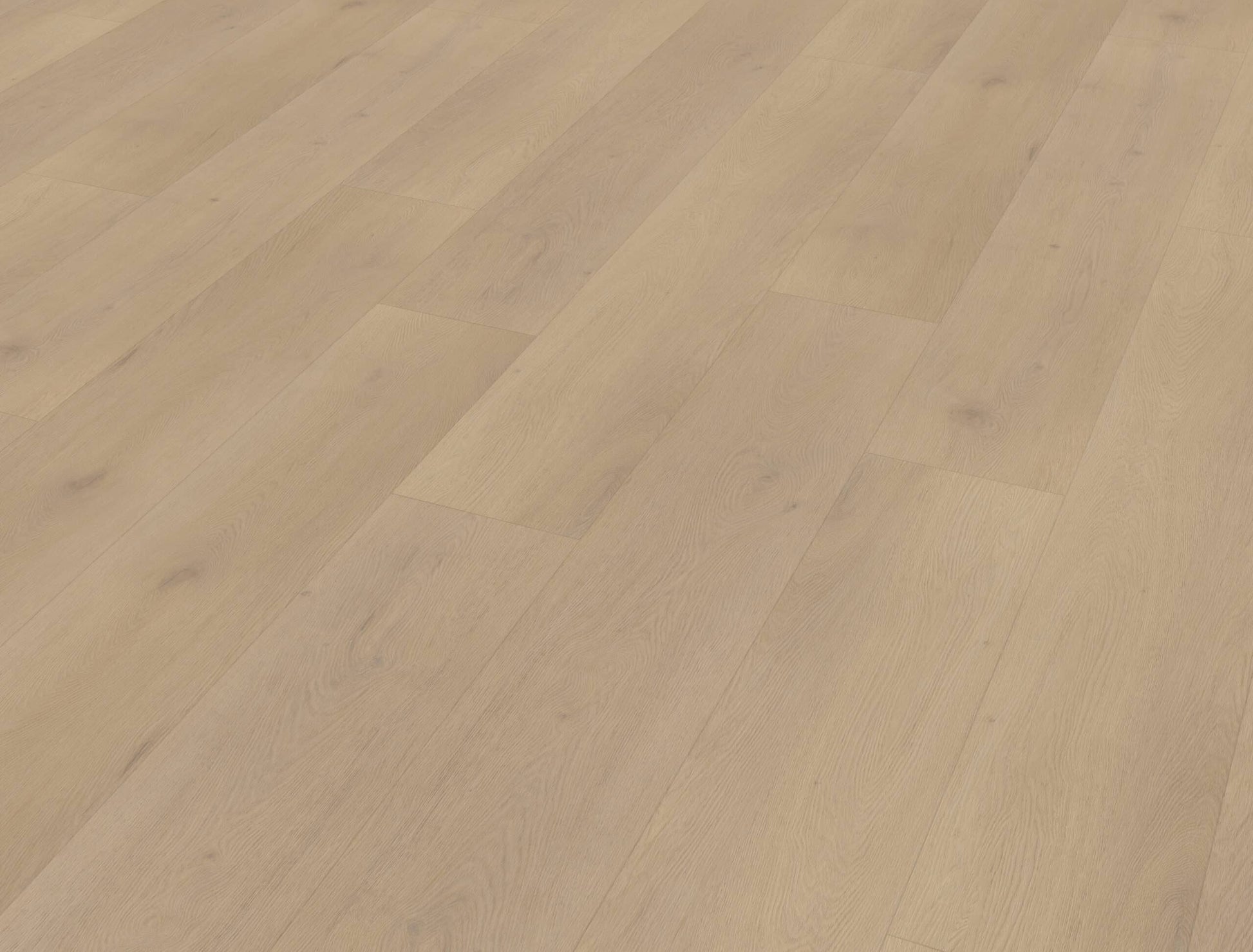 Belakos - Palazzo 770