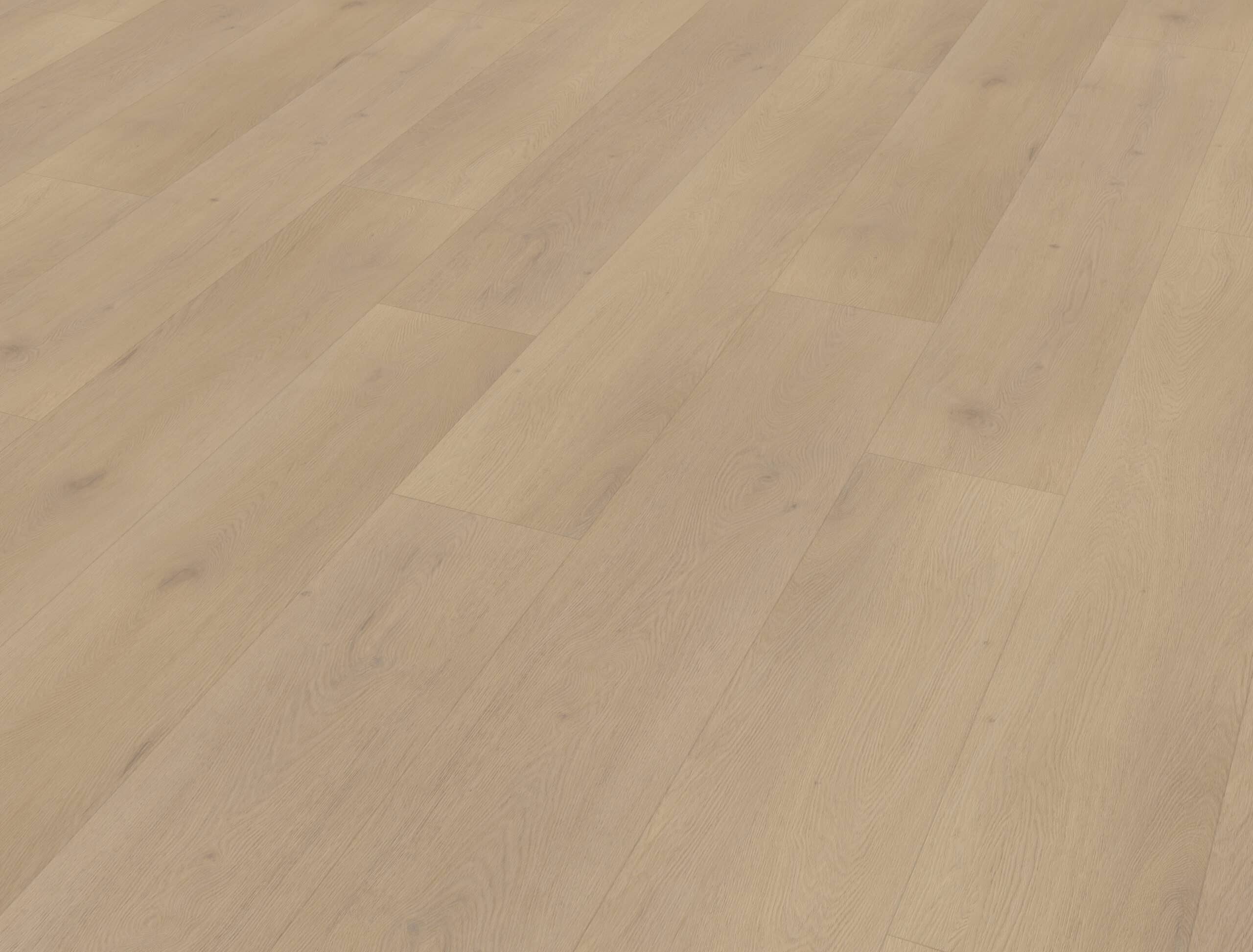 Belakos - Palazzo 770