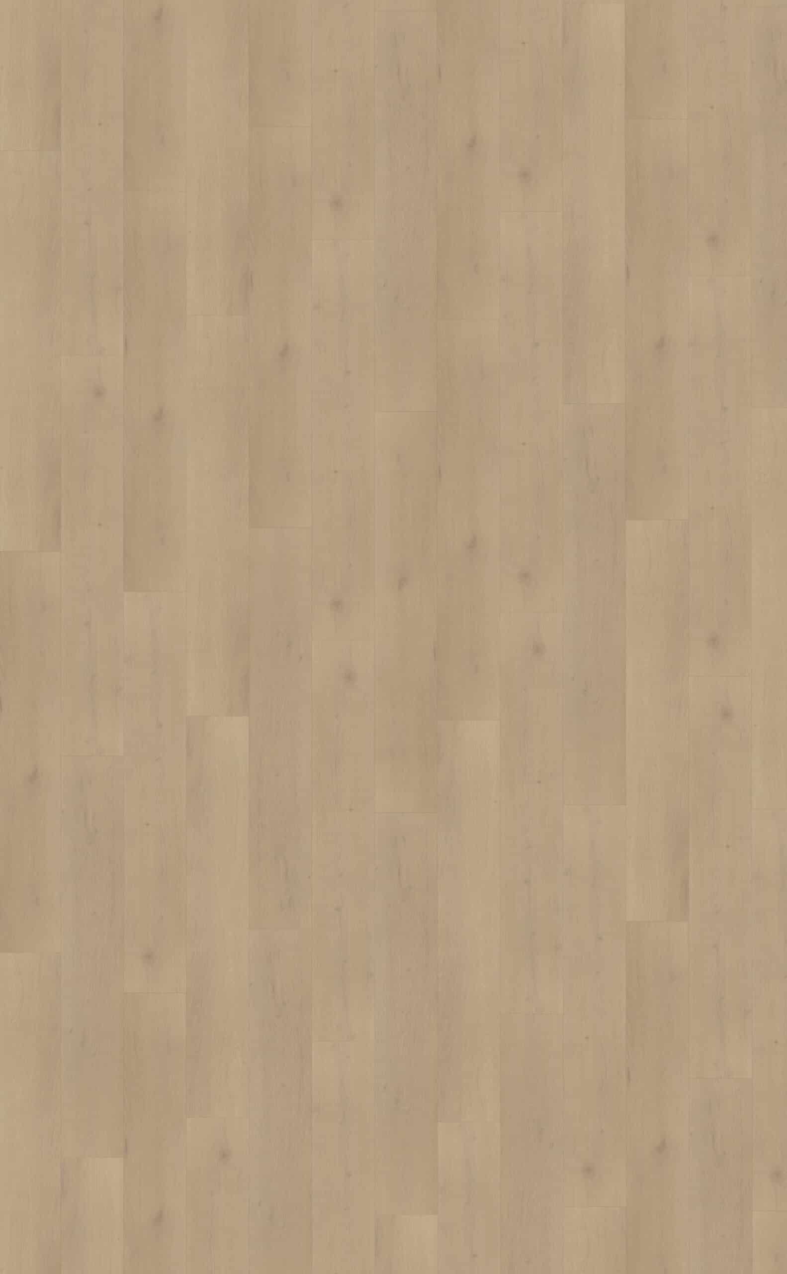 Belakos - Palazzo 770