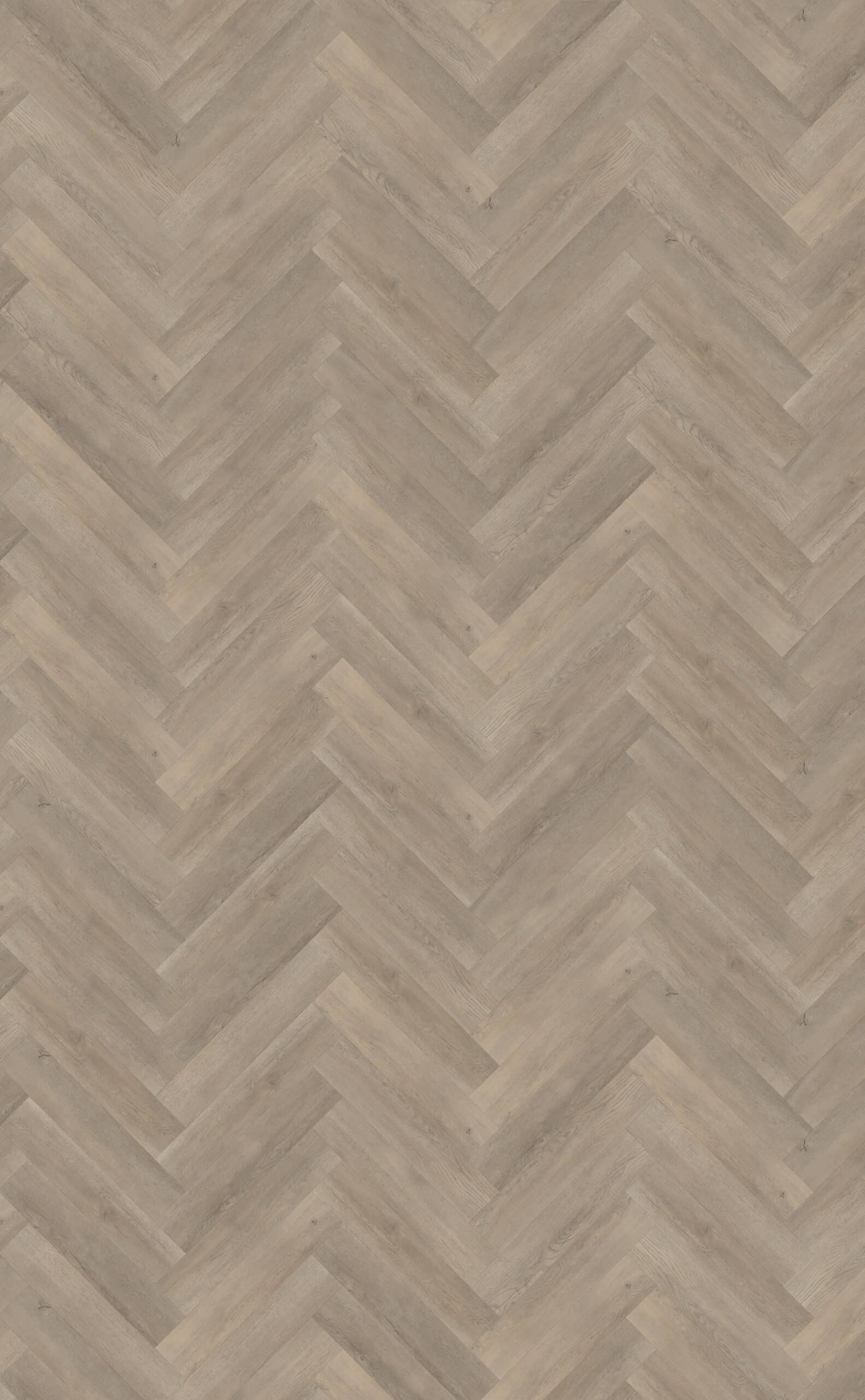 Belakos - Palazzo visgraat XL 70