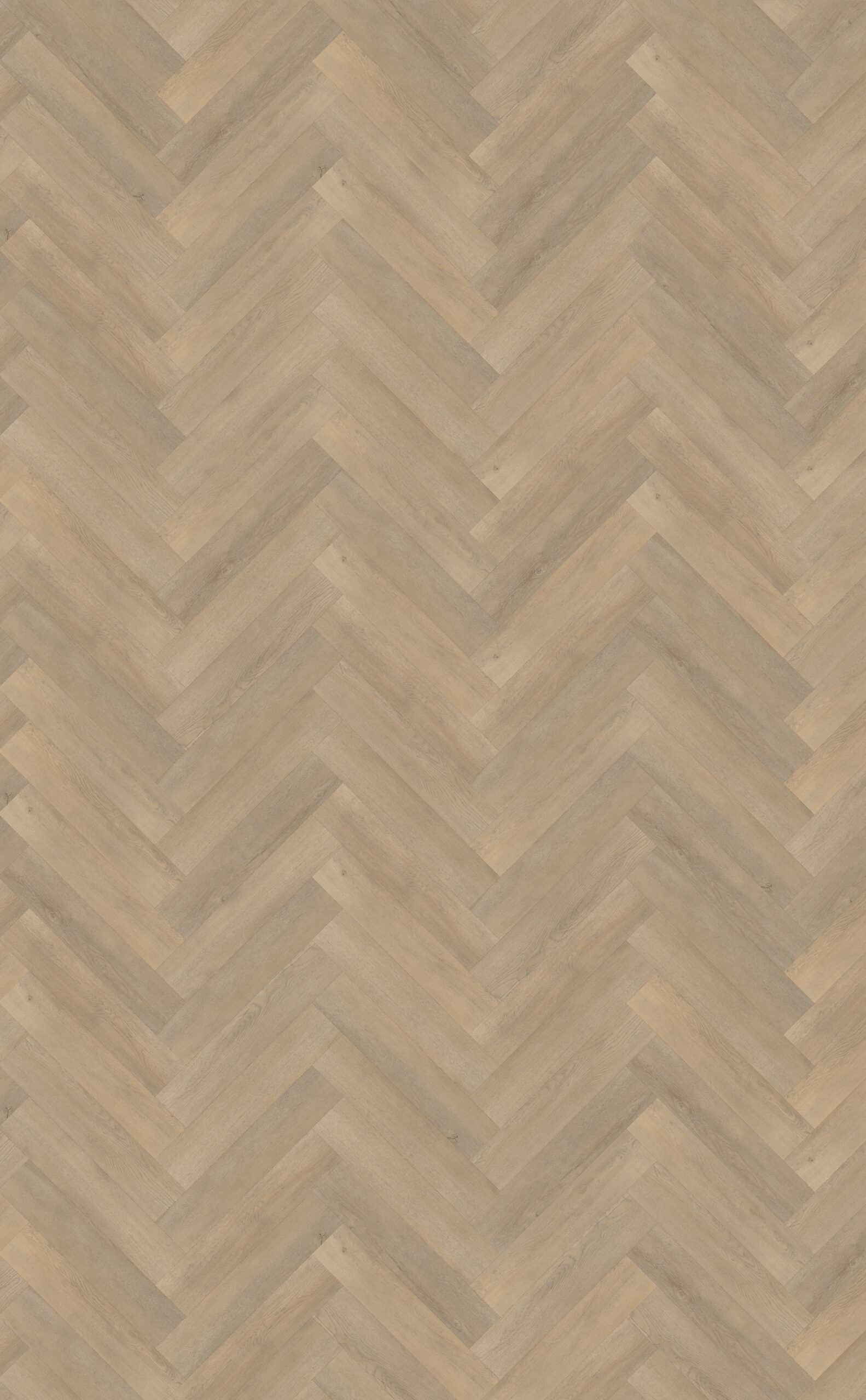 Belakos - Palazzo visgraat XL 71