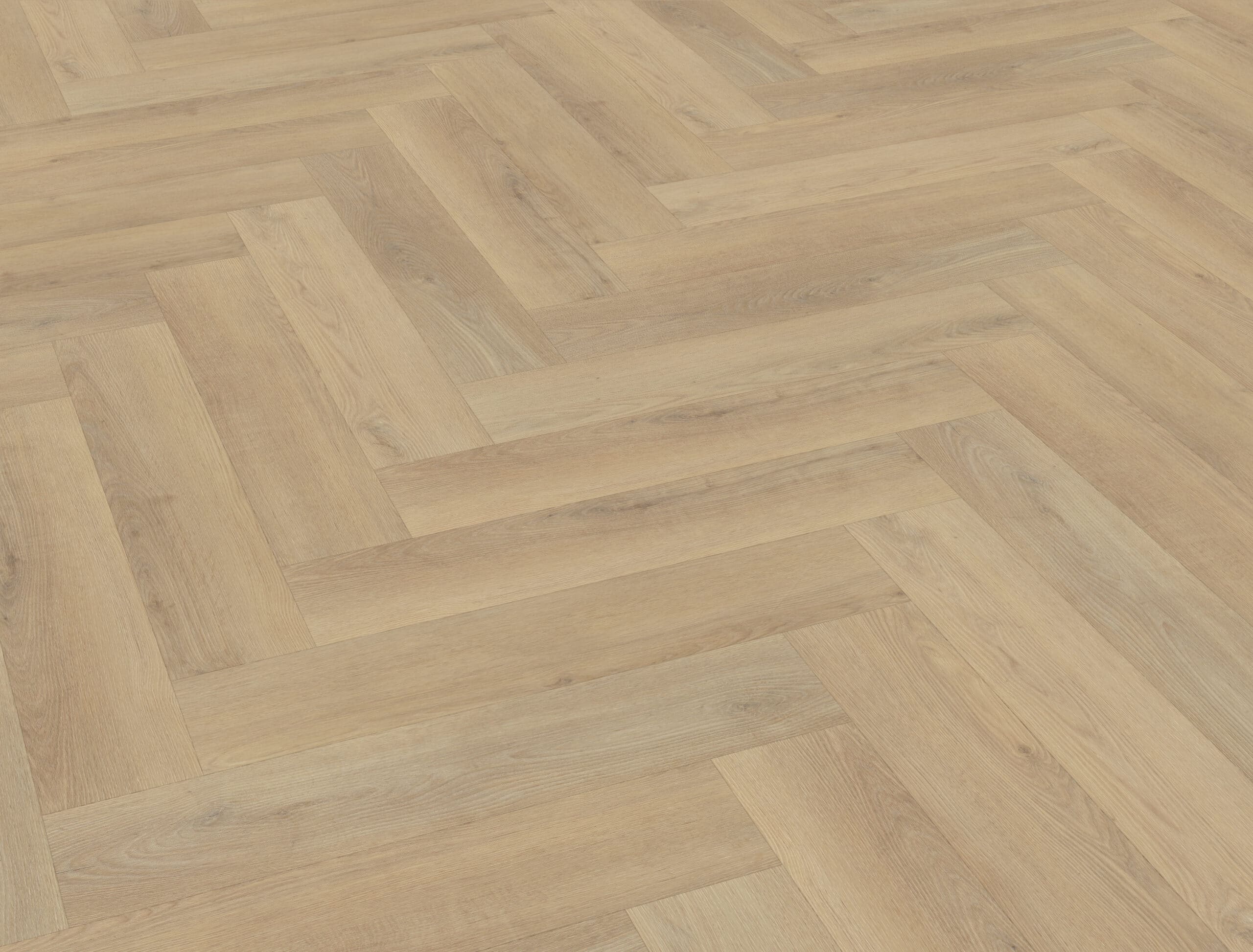 Belakos - Palazzo visgraat XL 72